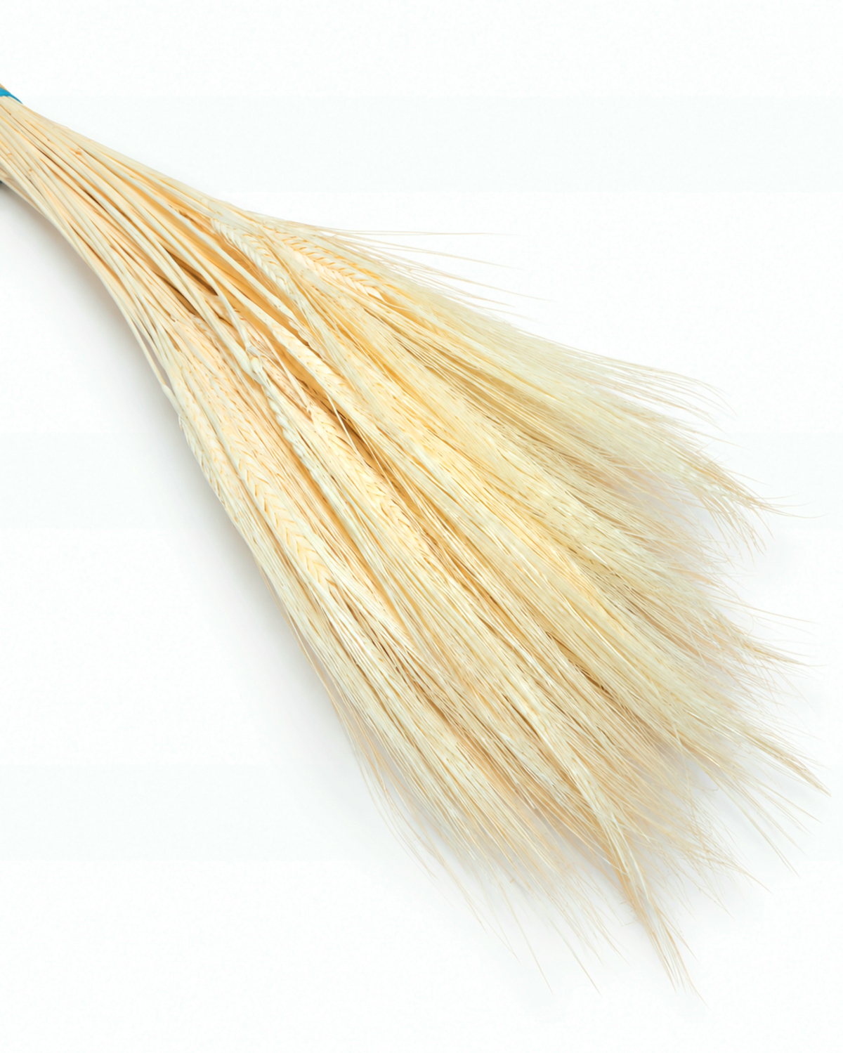 Dried Cream Bleached Barley Stems 25 Stems - Natural Wheat 50-55cm