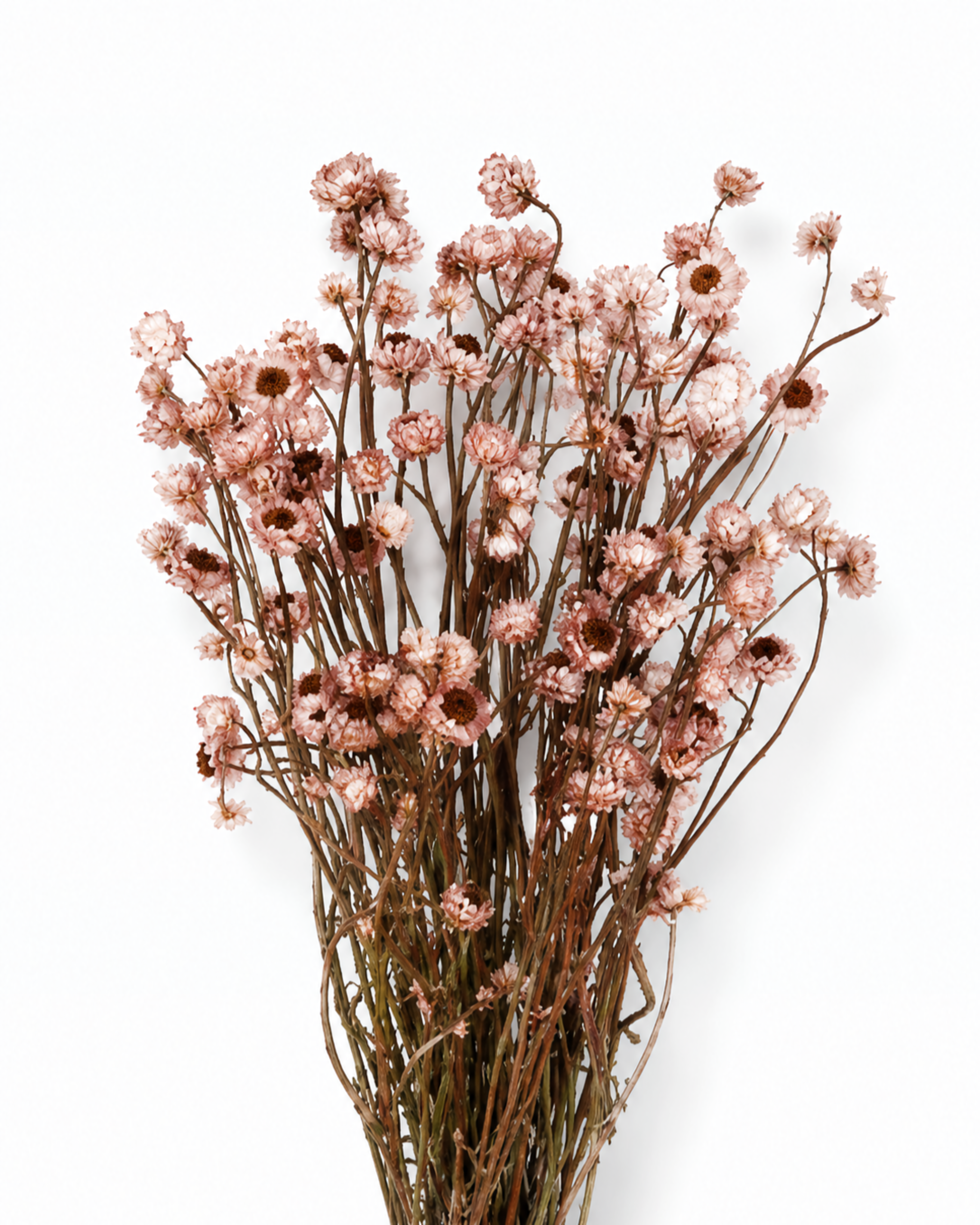 Dusty Rose Dried Flower Bouquet
