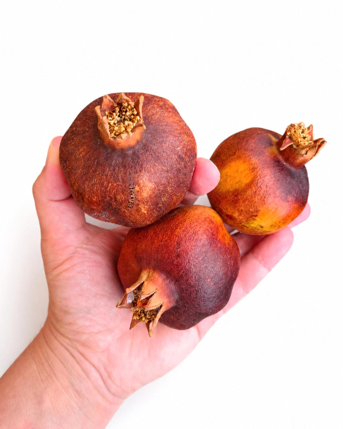 Hand holding a set of 3 natural sun-dried pomegranates showing size, crowns, and warm terracotta color.
