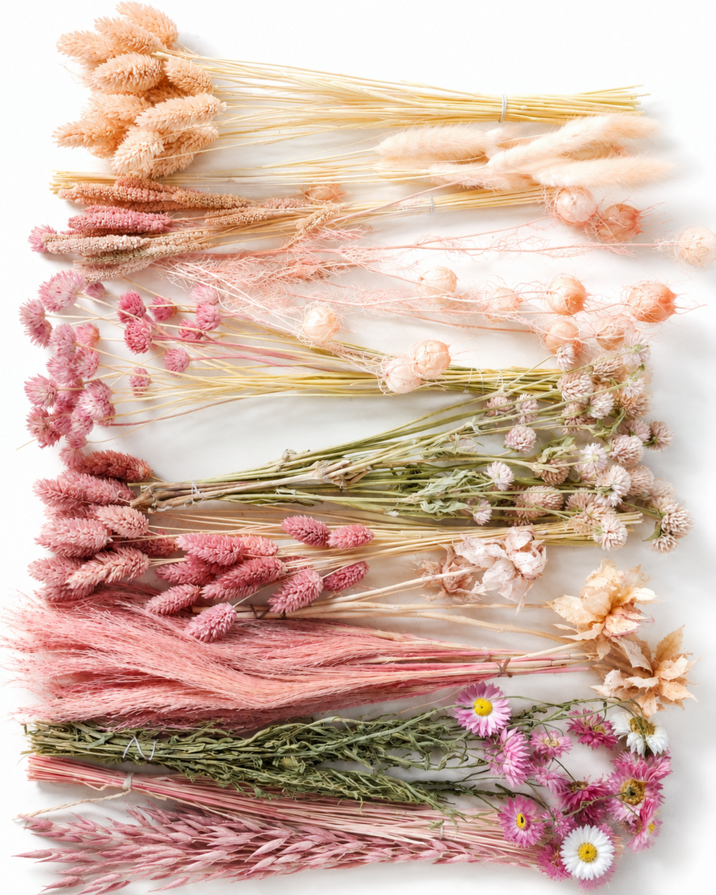 Pink Dried Flower Box for Crafts