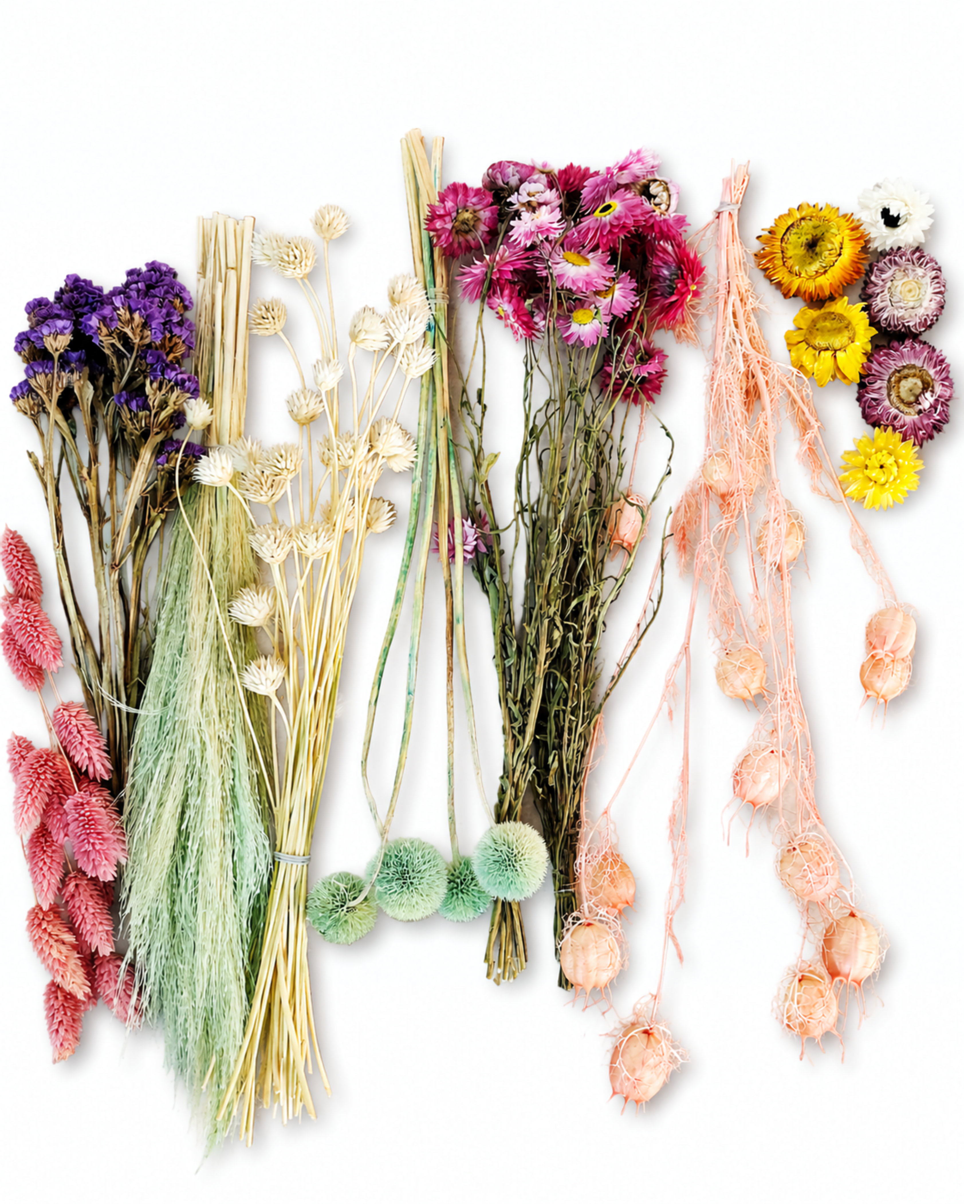 Dried Flower Box