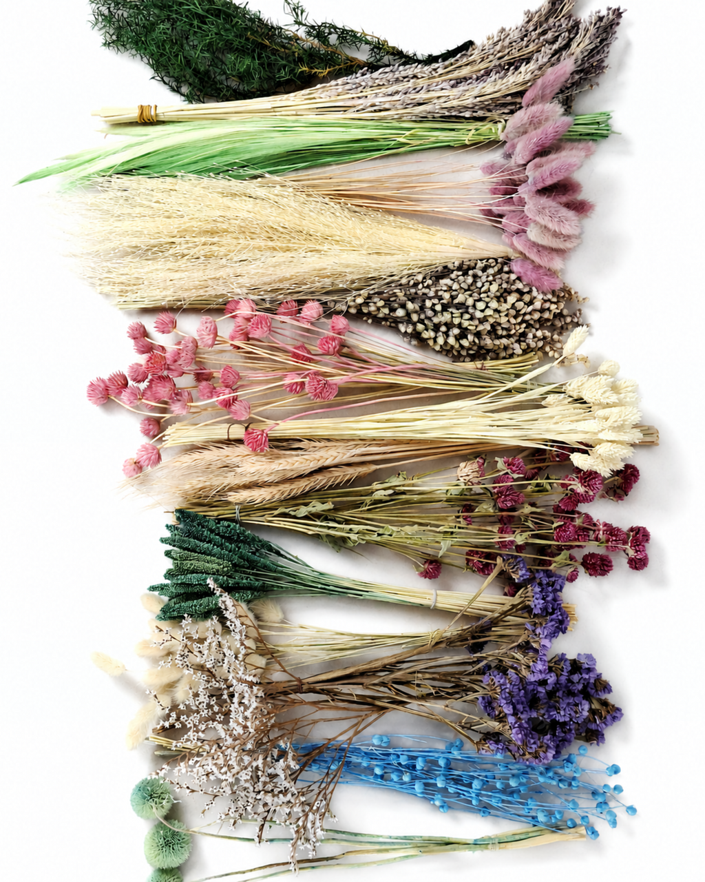 Rainbow Dried Flower Box