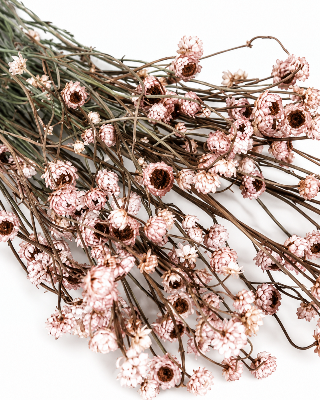 Dusty Rose Dried Flower Bouquet
