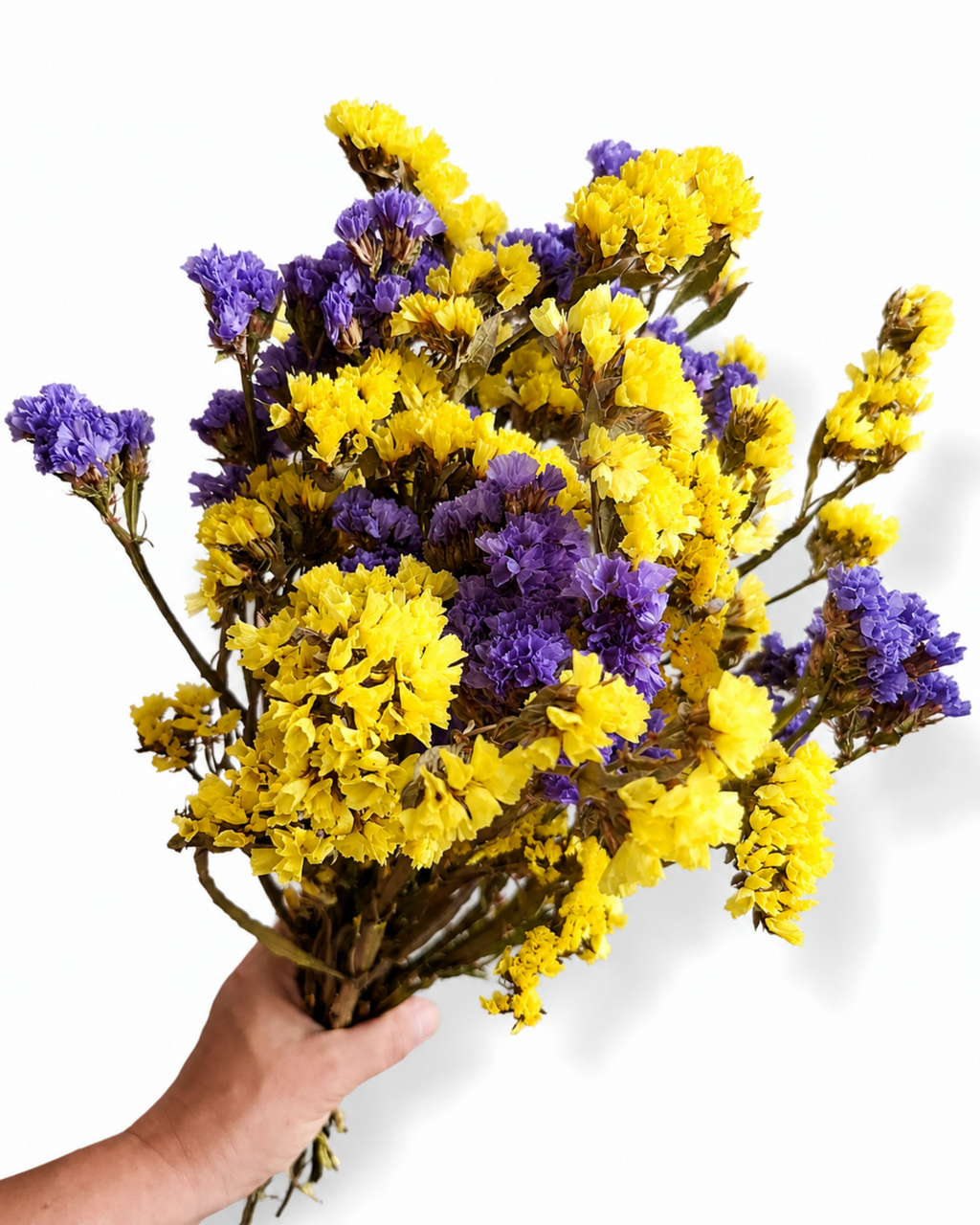 45-50 cm long natural dried sea lavender yellow blue bouquet for modern rustic home decoration