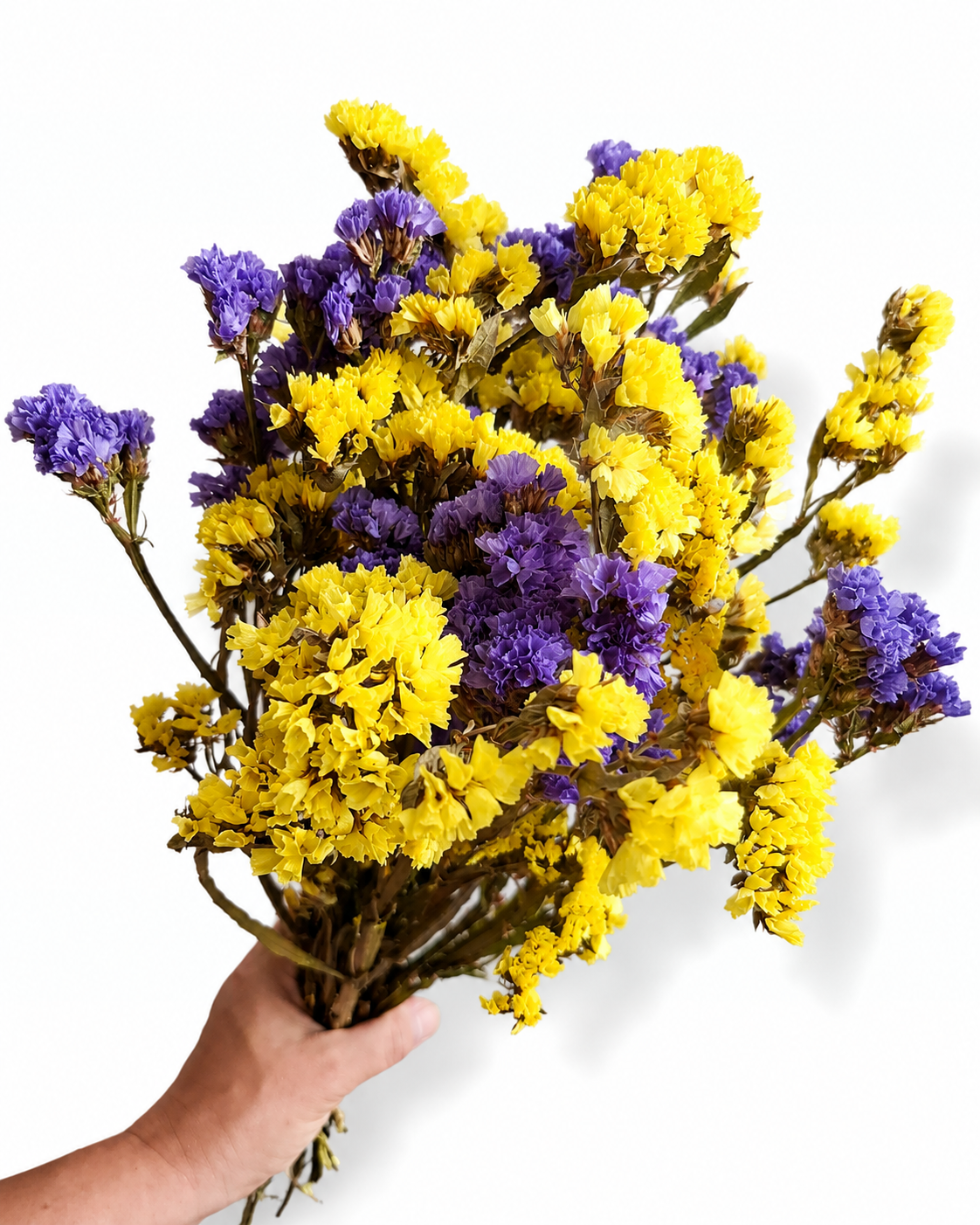 45-50 cm long natural dried sea lavender yellow blue bouquet for modern rustic home decoration