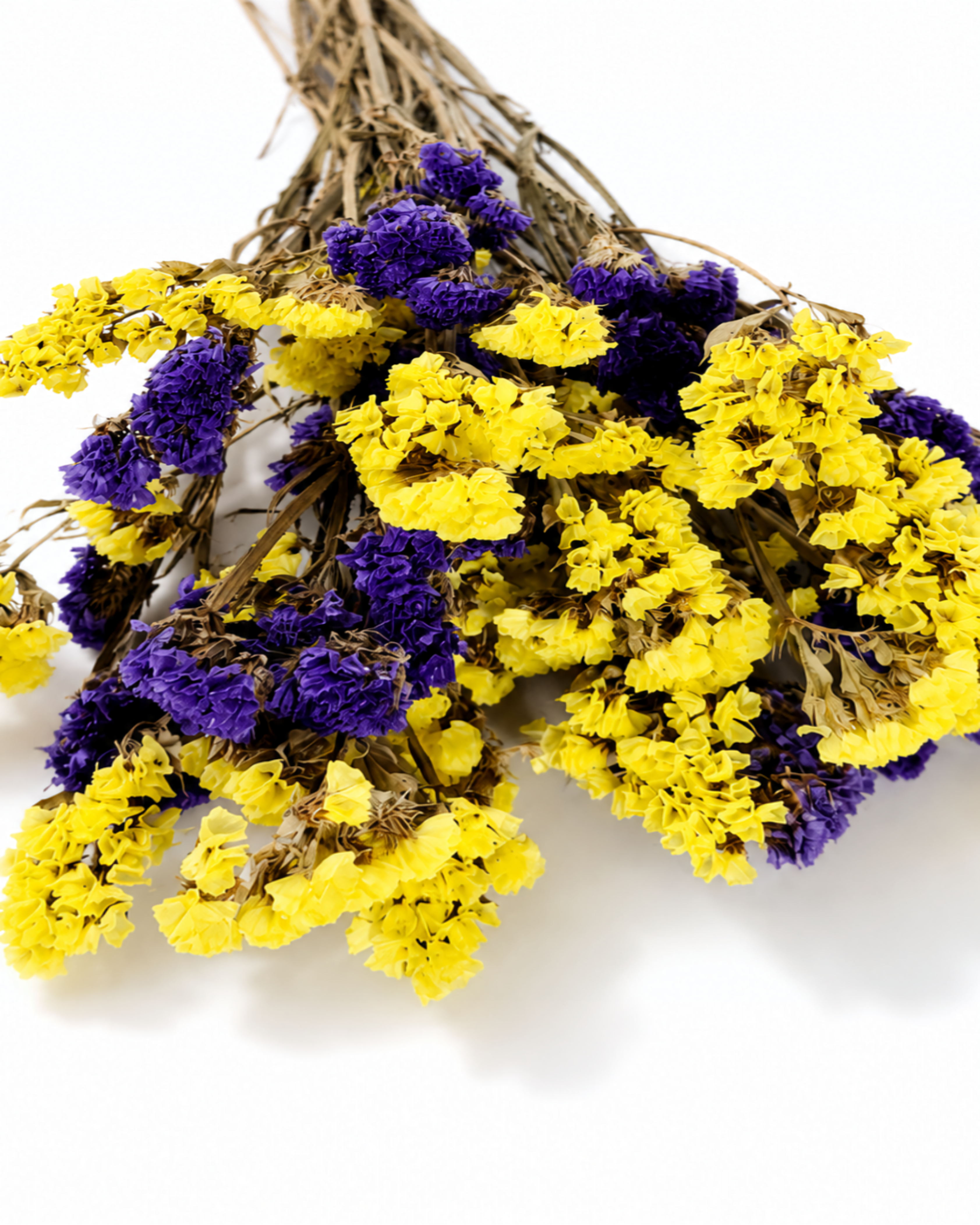 Yellow Purple Statice Stems