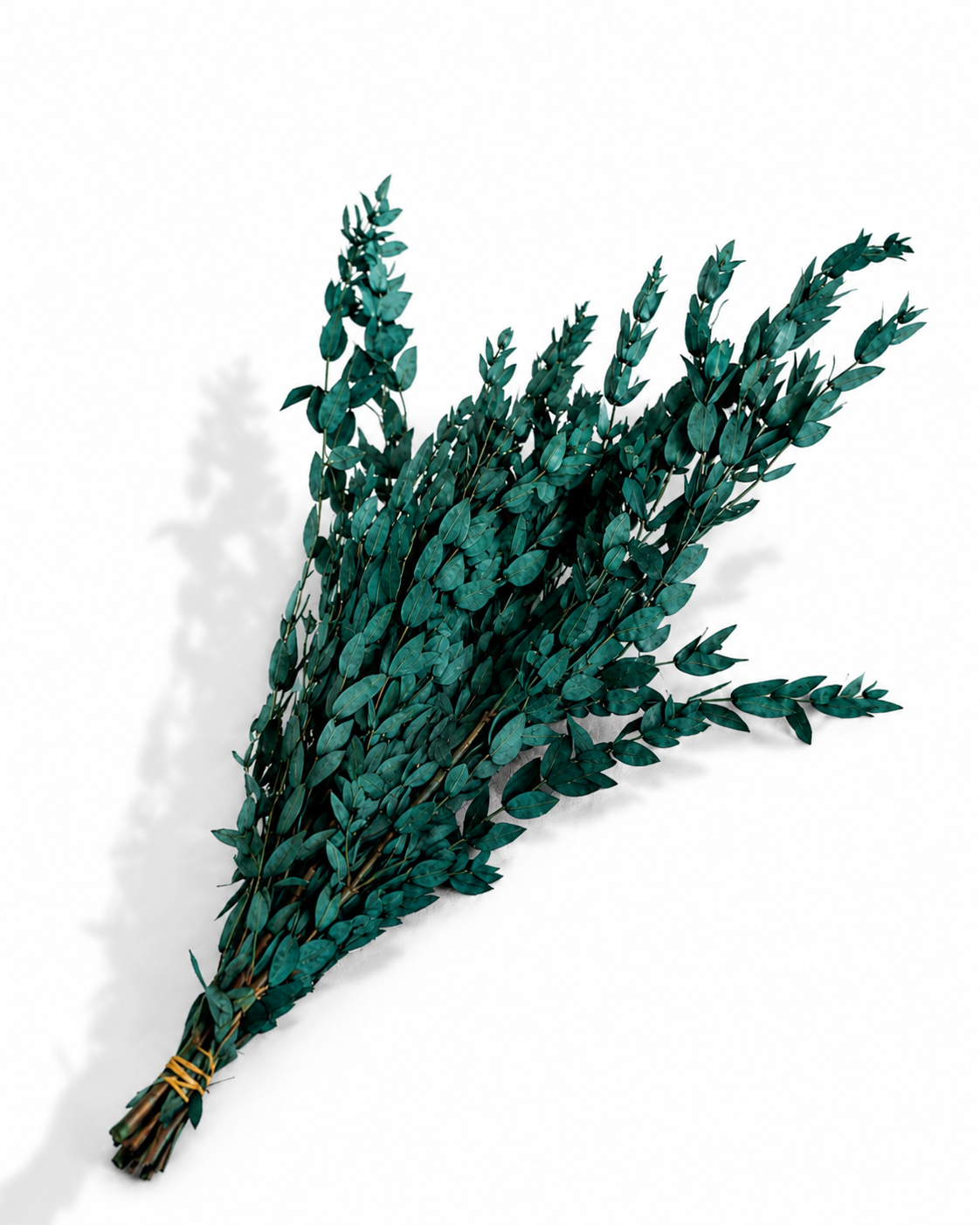 Preserved Greenery Bundle