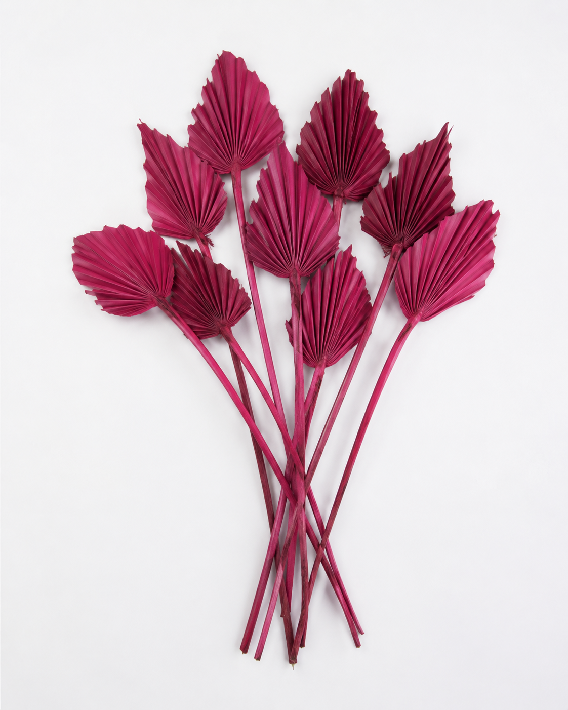 Dried Palm spear Berry