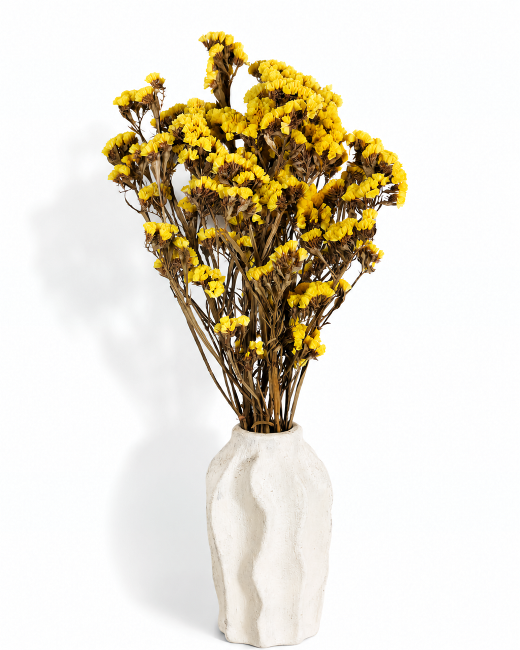 Yellow Dried Statice Bunch, Bright Limonium Stems