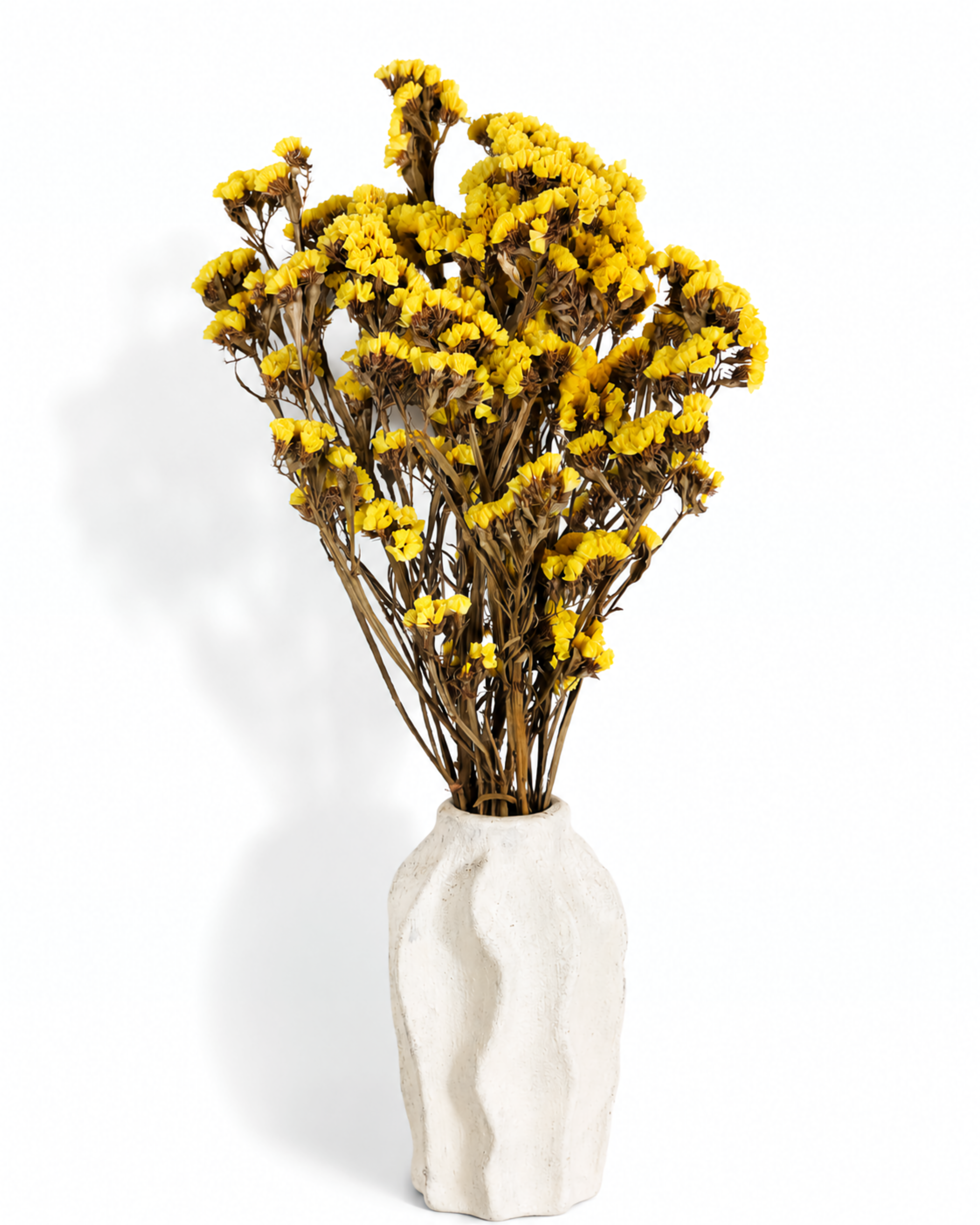 Yellow Dried Statice Bunch, Bright Limonium Stems
