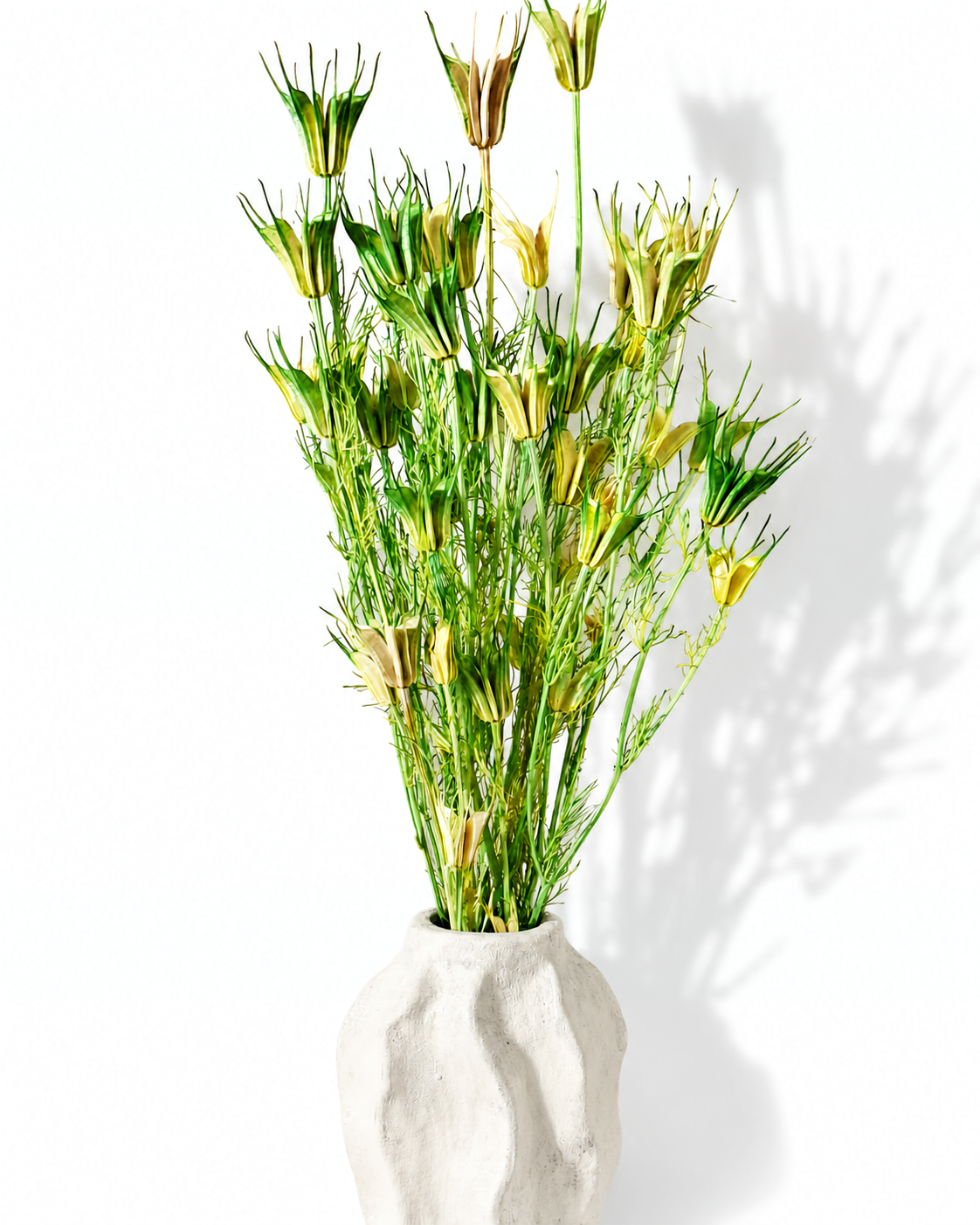 Natural dried Nigella orientalis stems with green-to-beige gradient in a white clay vessel.
