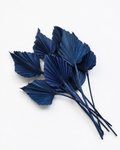 Dried Palm spear  Night blue