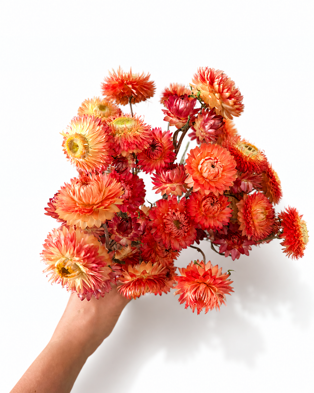 Wholesale bulk dried orange flowers and everlasting botanical elements safely packed for Europe