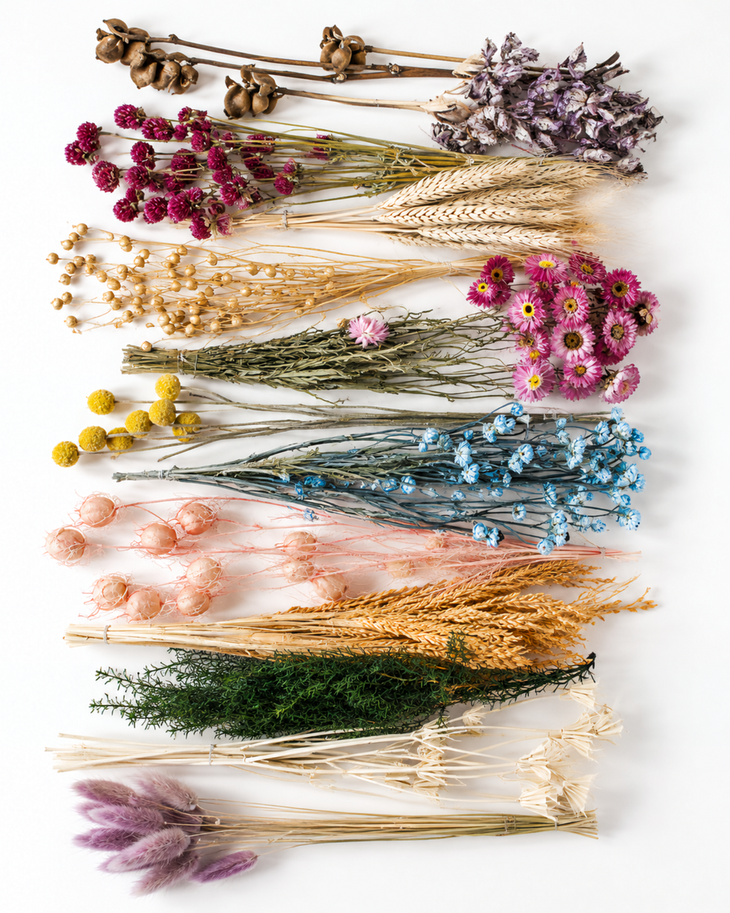 Pastel Dried Flower Box for Crafts