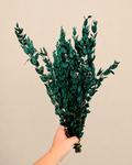 Preserved Greenery Bundle
