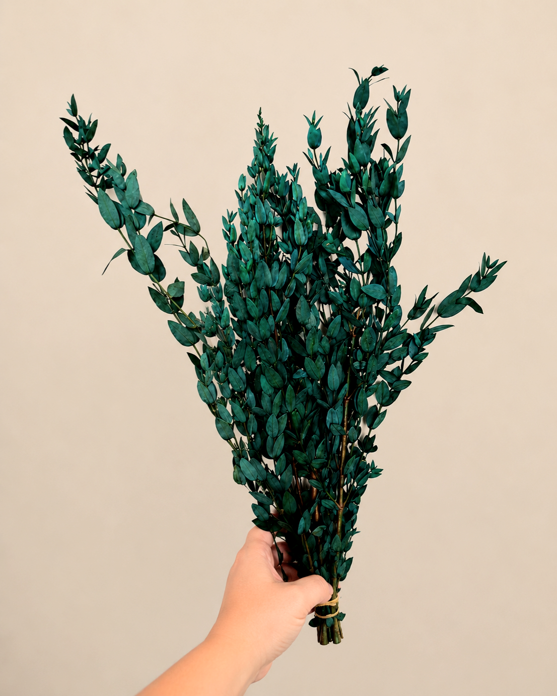 Preserved Greenery Bundle