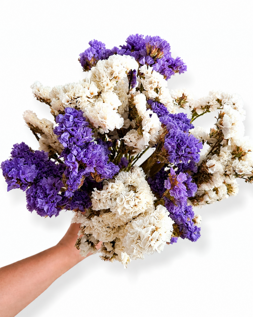 45-50 cm long natural dried sea lavender purple white bouquet for modern rustic home decoration