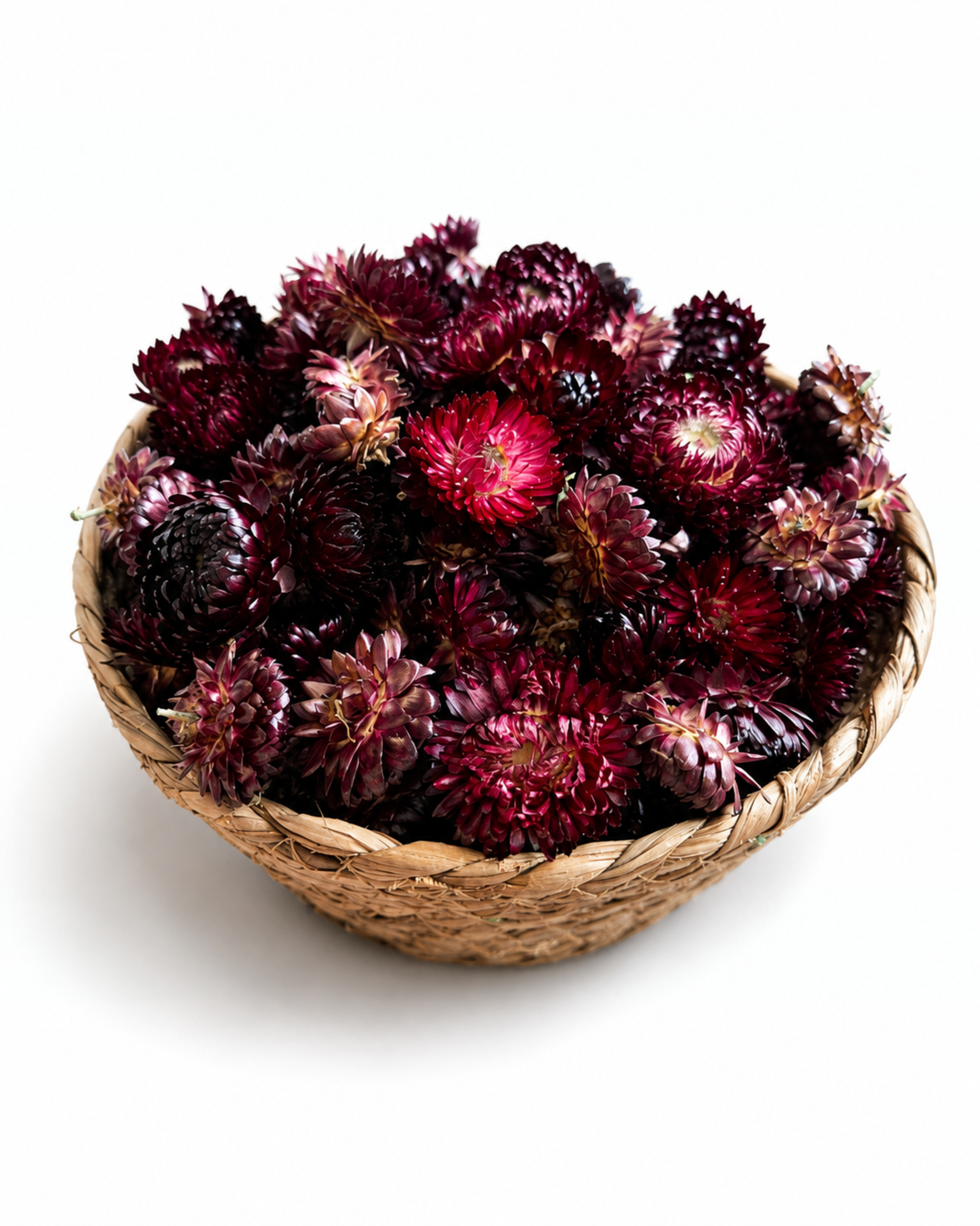 Dried Burgundy Helichrysum Flower Heads - Dark Red Strawflowers