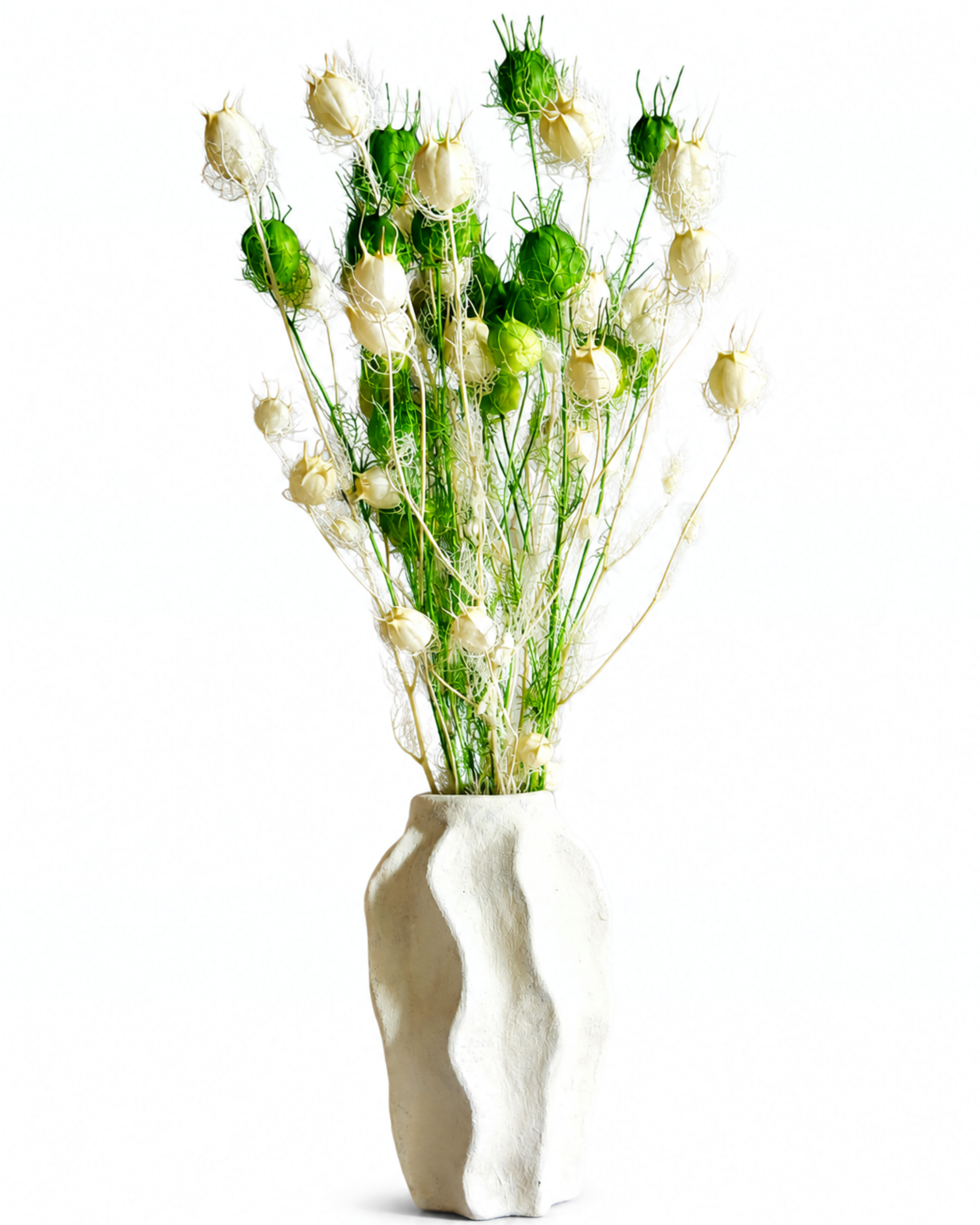 A styled arrangement of dried white and green Nigella stems displayed in a sculptural light ceramic vase.
