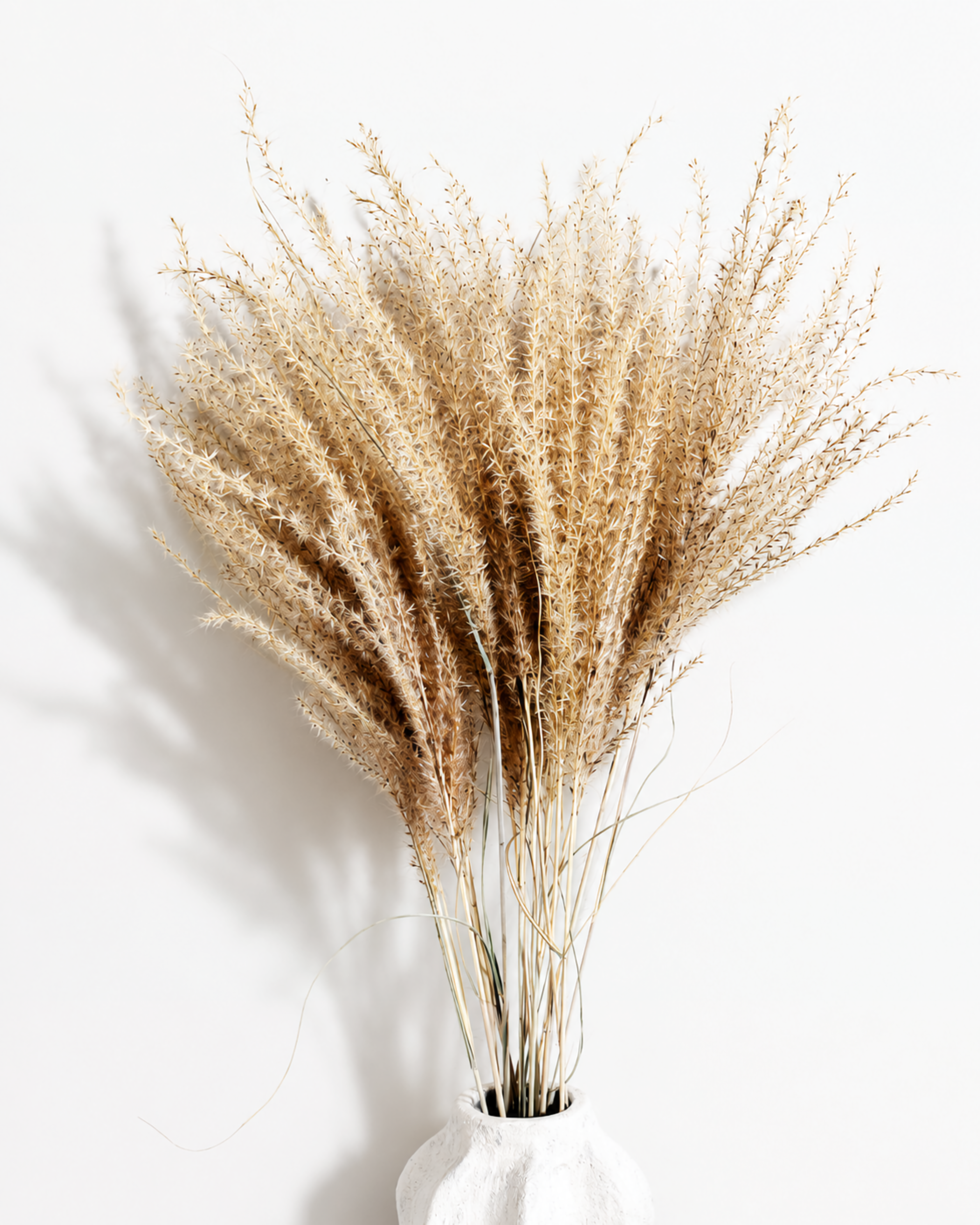 Natural Beige Miscanthus Stems