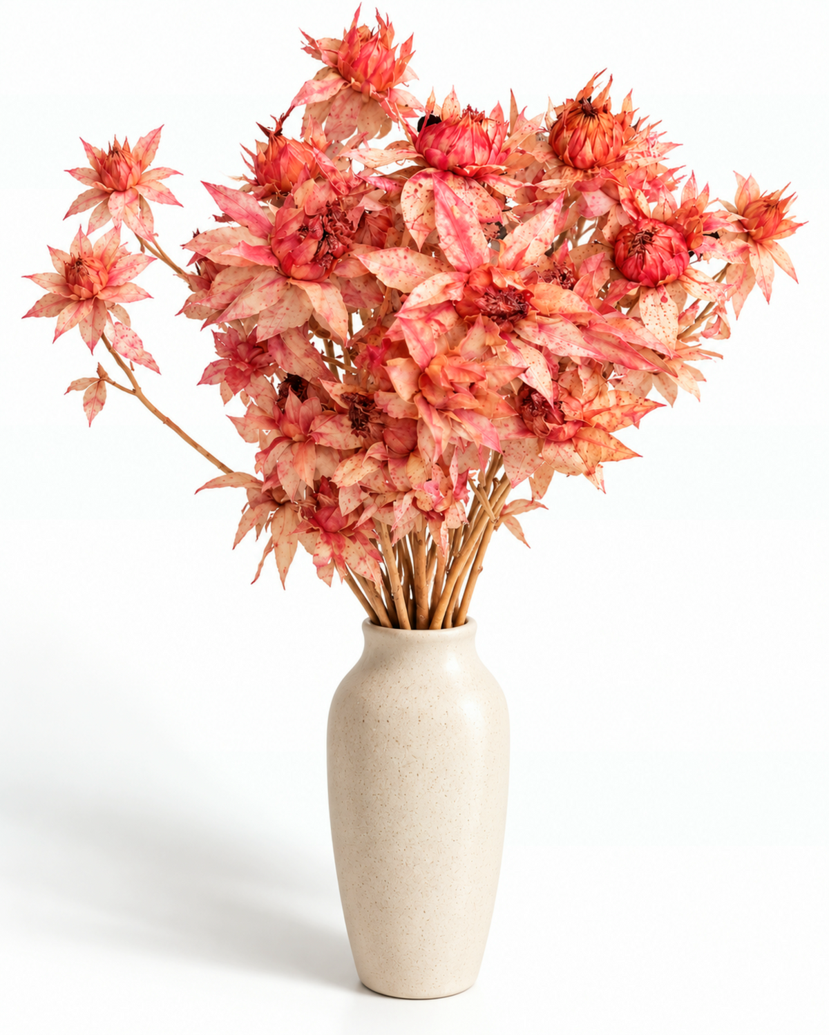 Hastes de Cártamo Rosa Blush