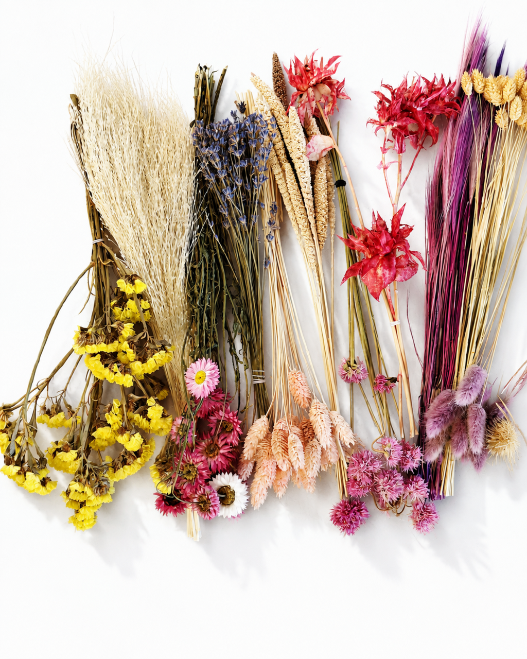 Wildflower Dried Flower Box for Crafts
