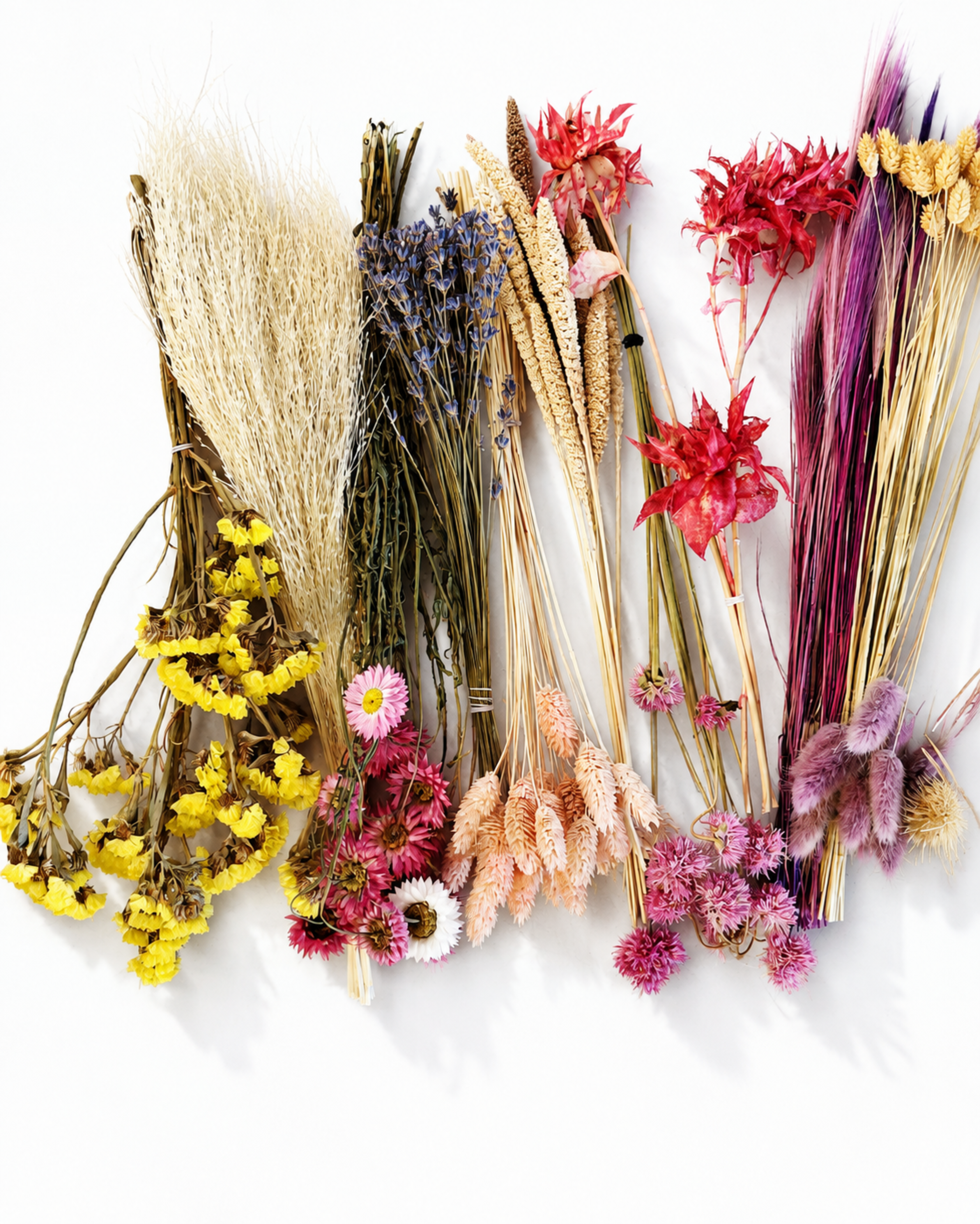Wildflower Dried Flower Box for Crafts