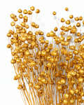Detailed close-up view of metallic gold dried flax seed pods showing rich shimmer and delicate stems.
