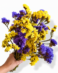 Premium dried yellow and blue statice mixed bunch 100g for professional florist decor