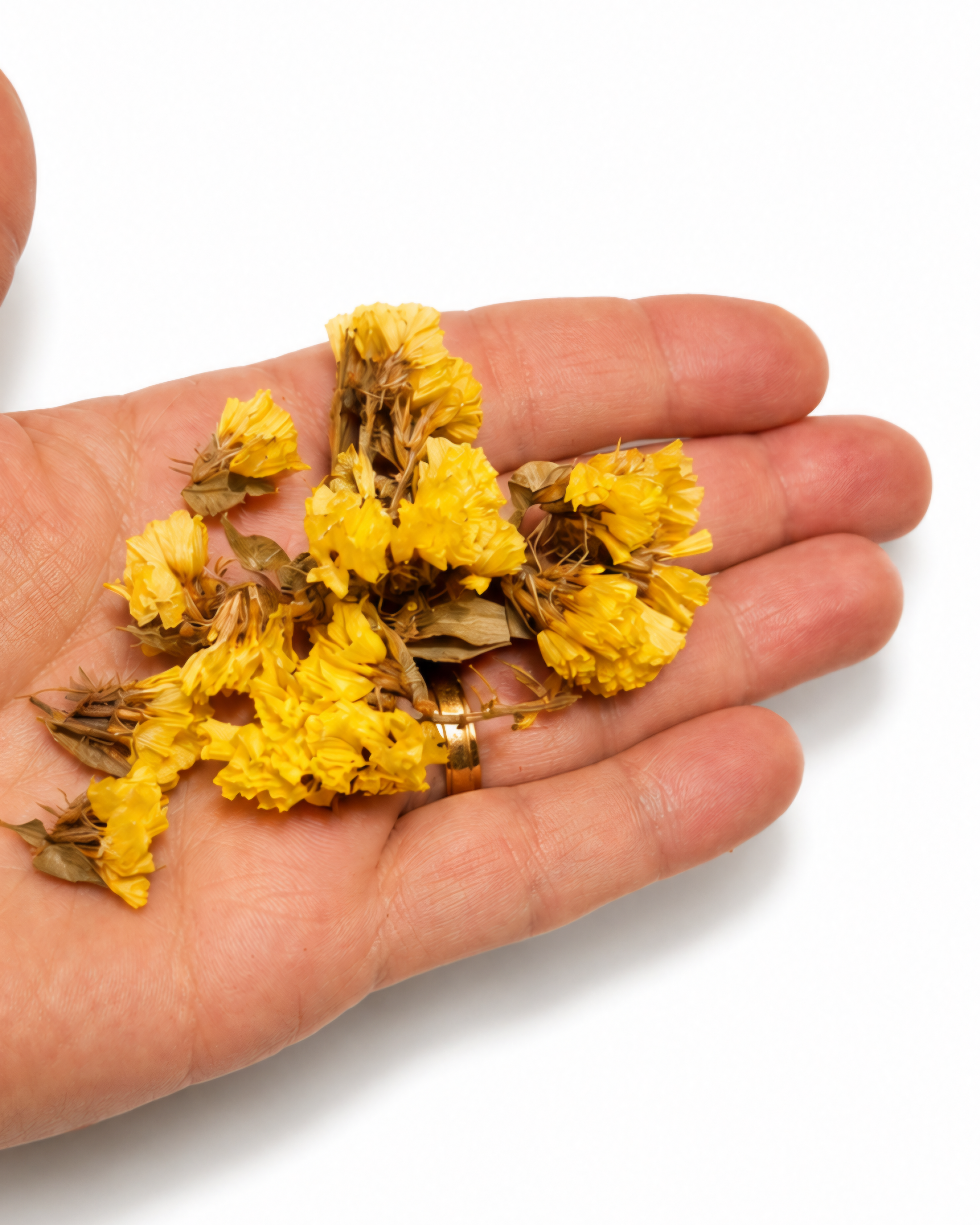 A hand holding a handful of small yellow dried limonium bloom clusters showing size and texture.
