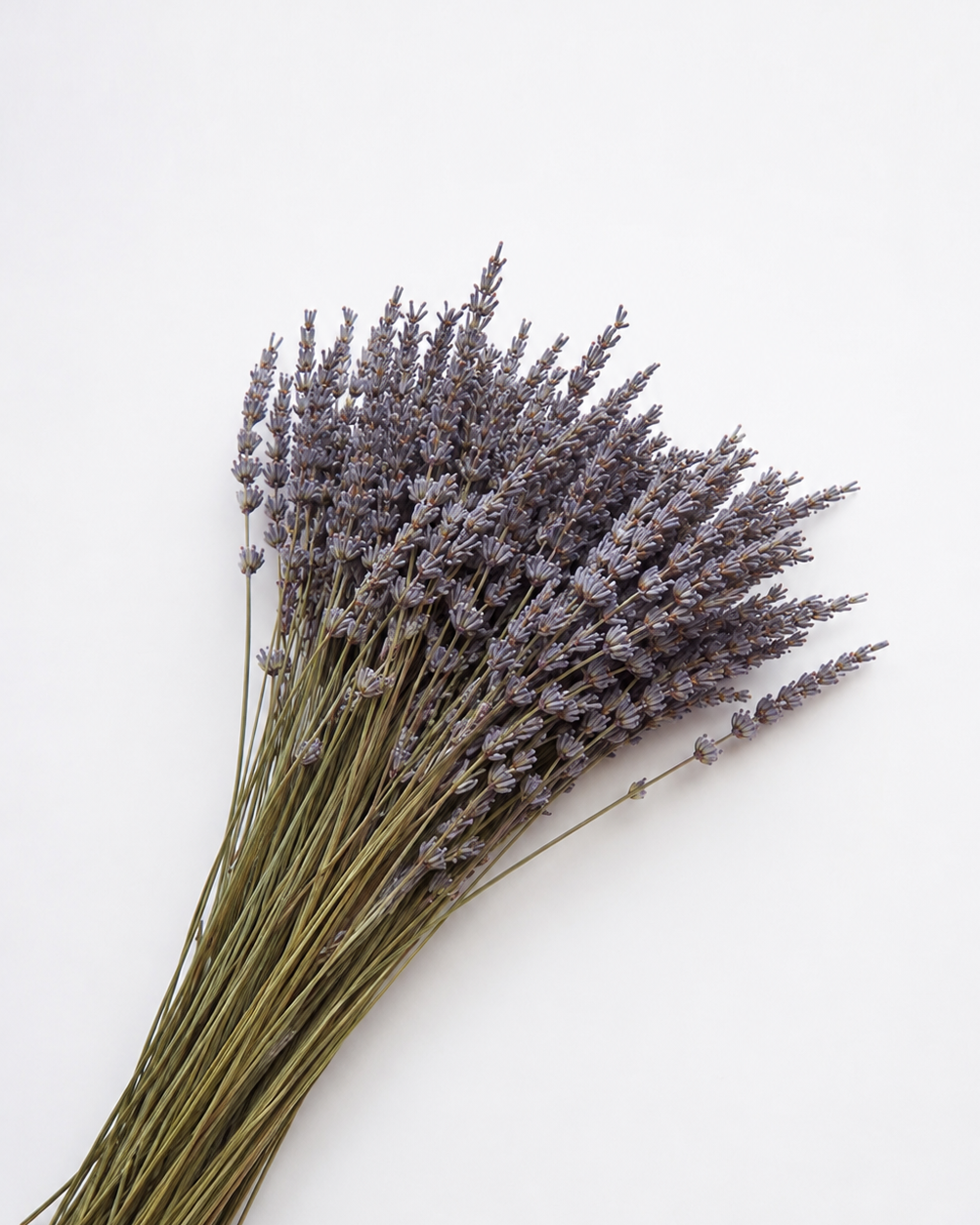 Natural Dried Lavender