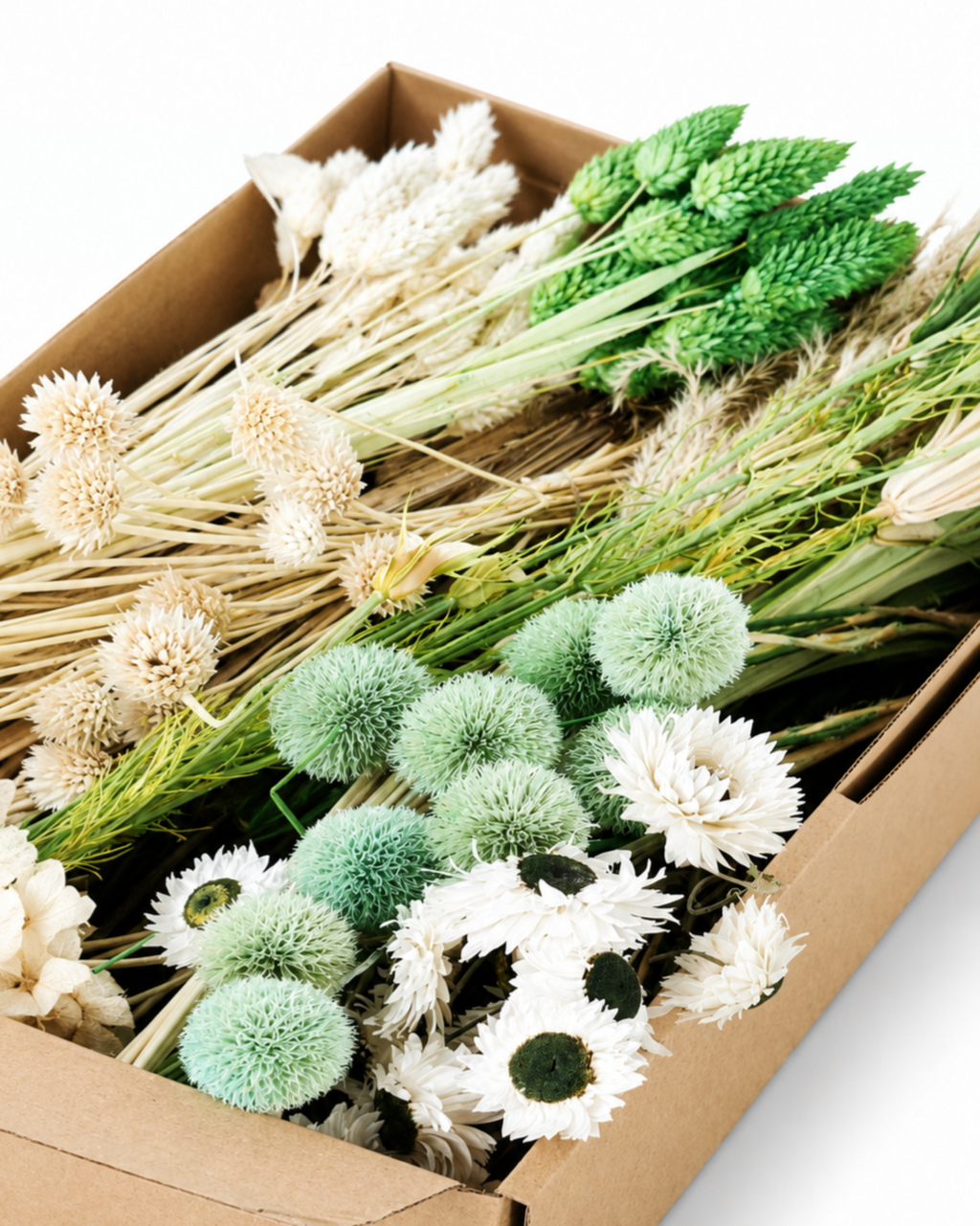 White & Green Dried Flower Craft Box