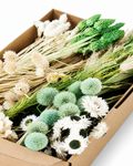 White & Green Dried Flower Craft Box