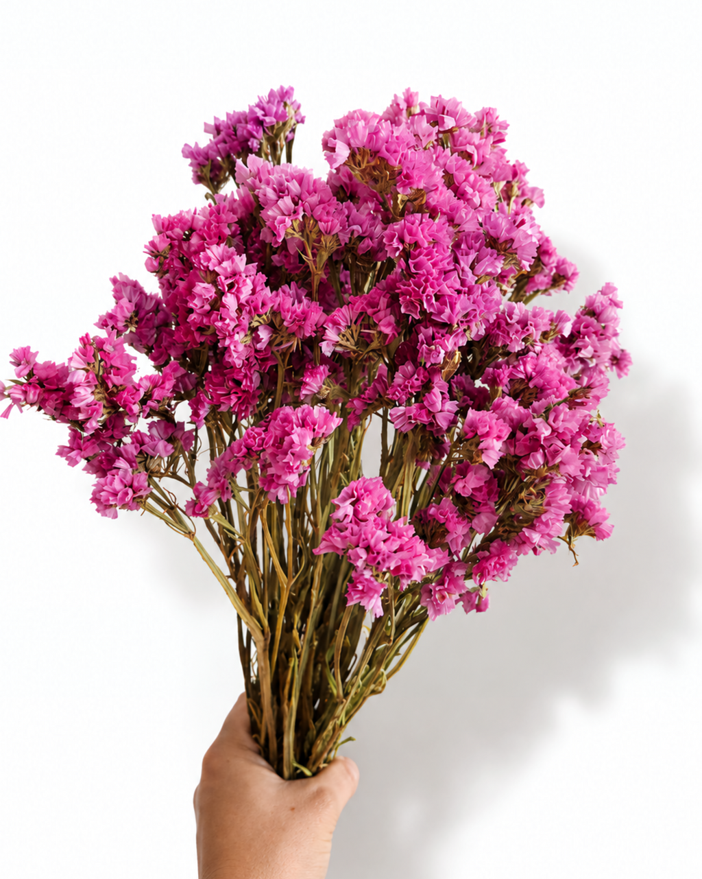 Naturally air-dried bright pink Statice flower stems, 45-50cm height, 100g wholesale bundle for floral arrangements.
