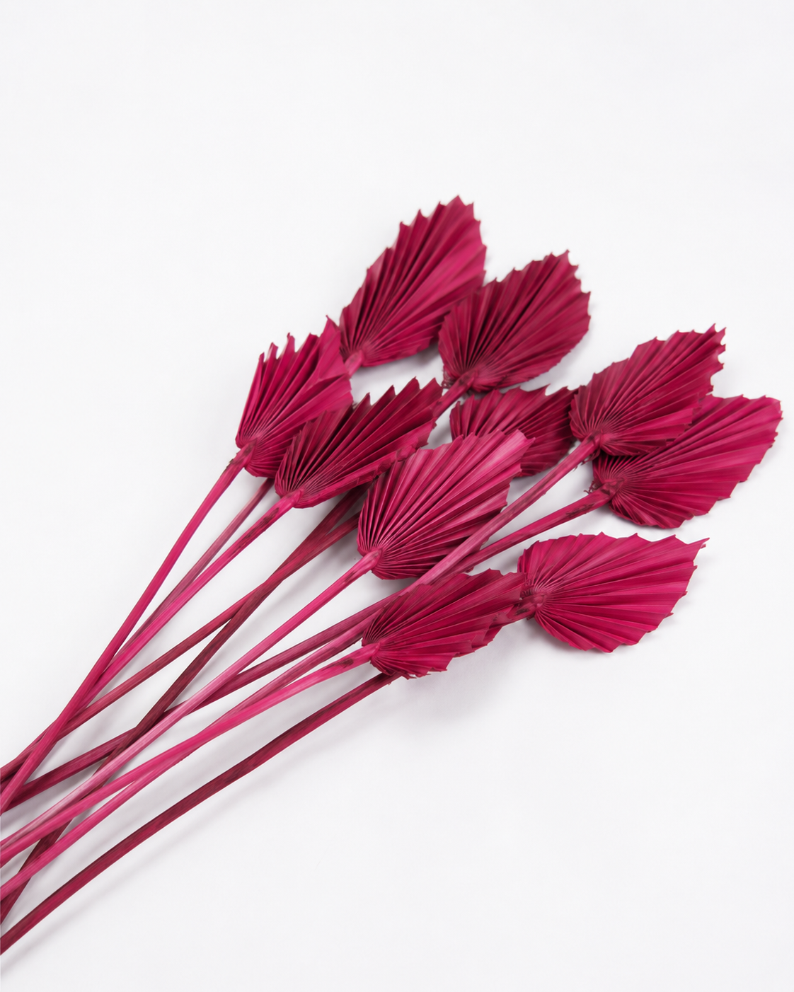 Dried Palm spear Berry