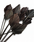 Naturally air-dried and matte black painted palm spear fronds, 5 pieces bundle, 30-50cm height for contemporary interior design.
