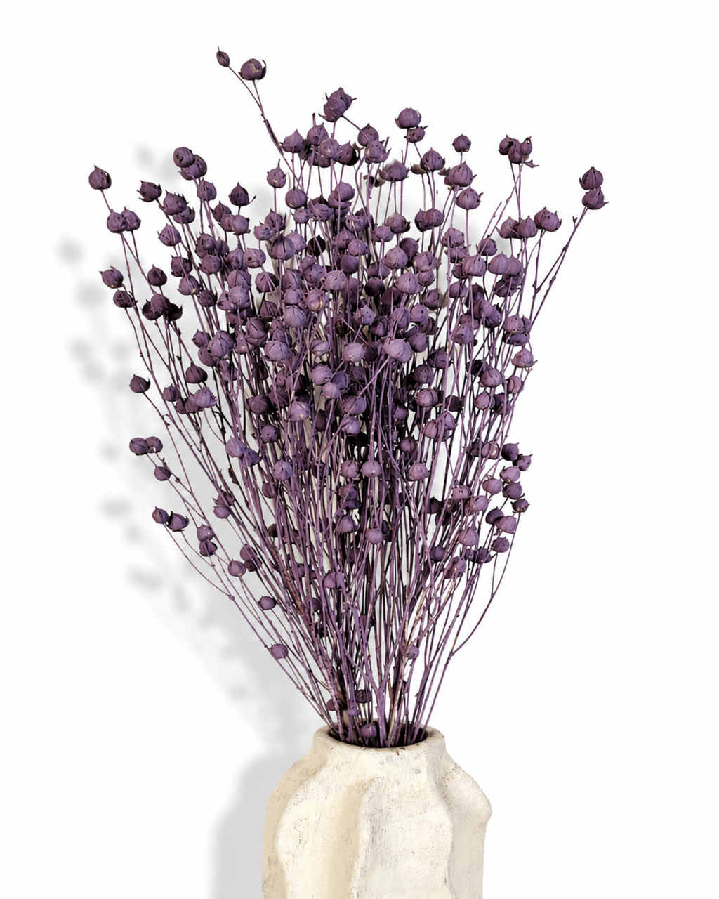 Purple Flax Stems