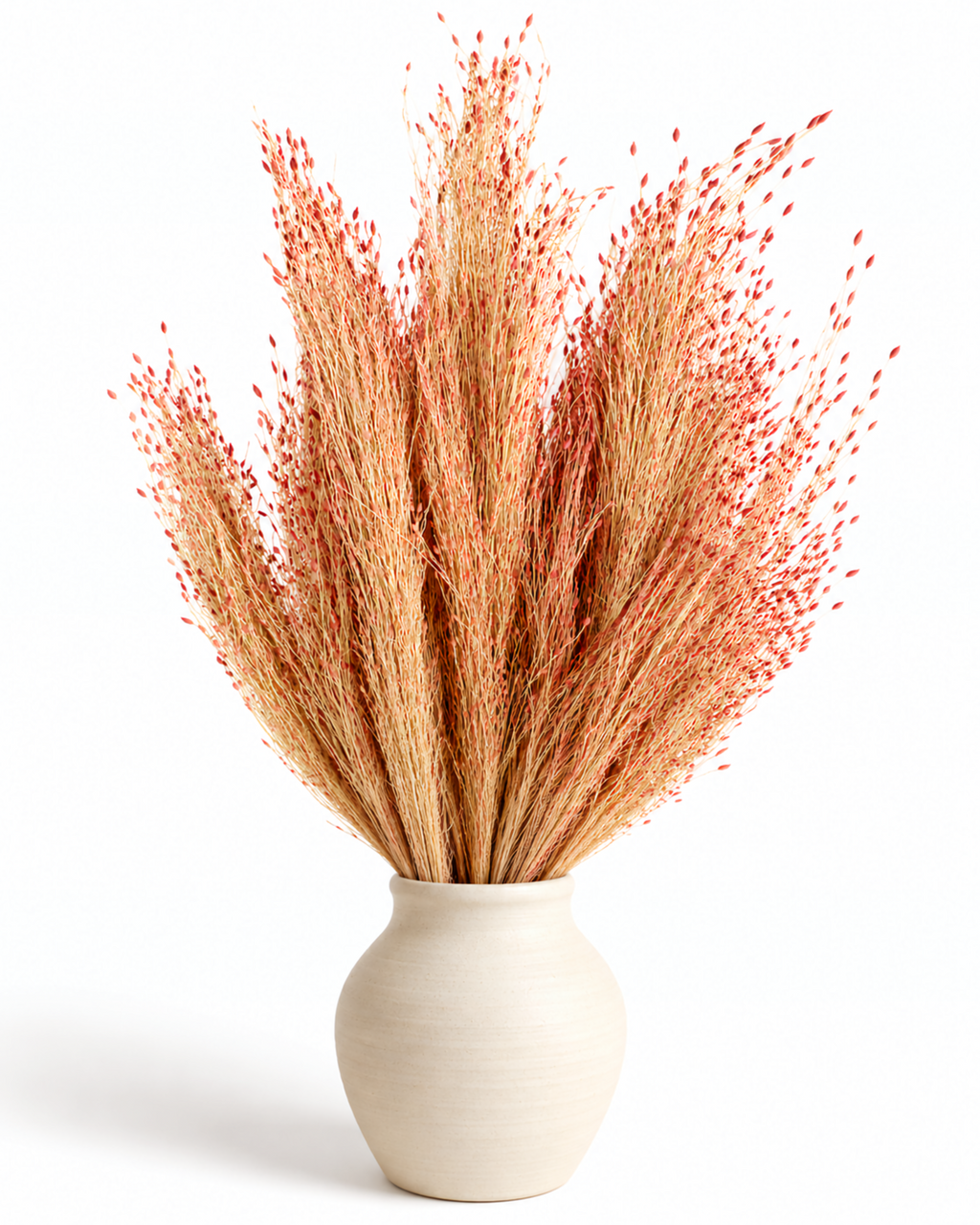 Dried Panicum Grass Bunch 100g - 40-45cm Dusty Terracotta & Blush Stems