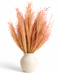 Dried Panicum Grass Bunch 100g - 40-45cm Dusty Terracotta & Blush Stems