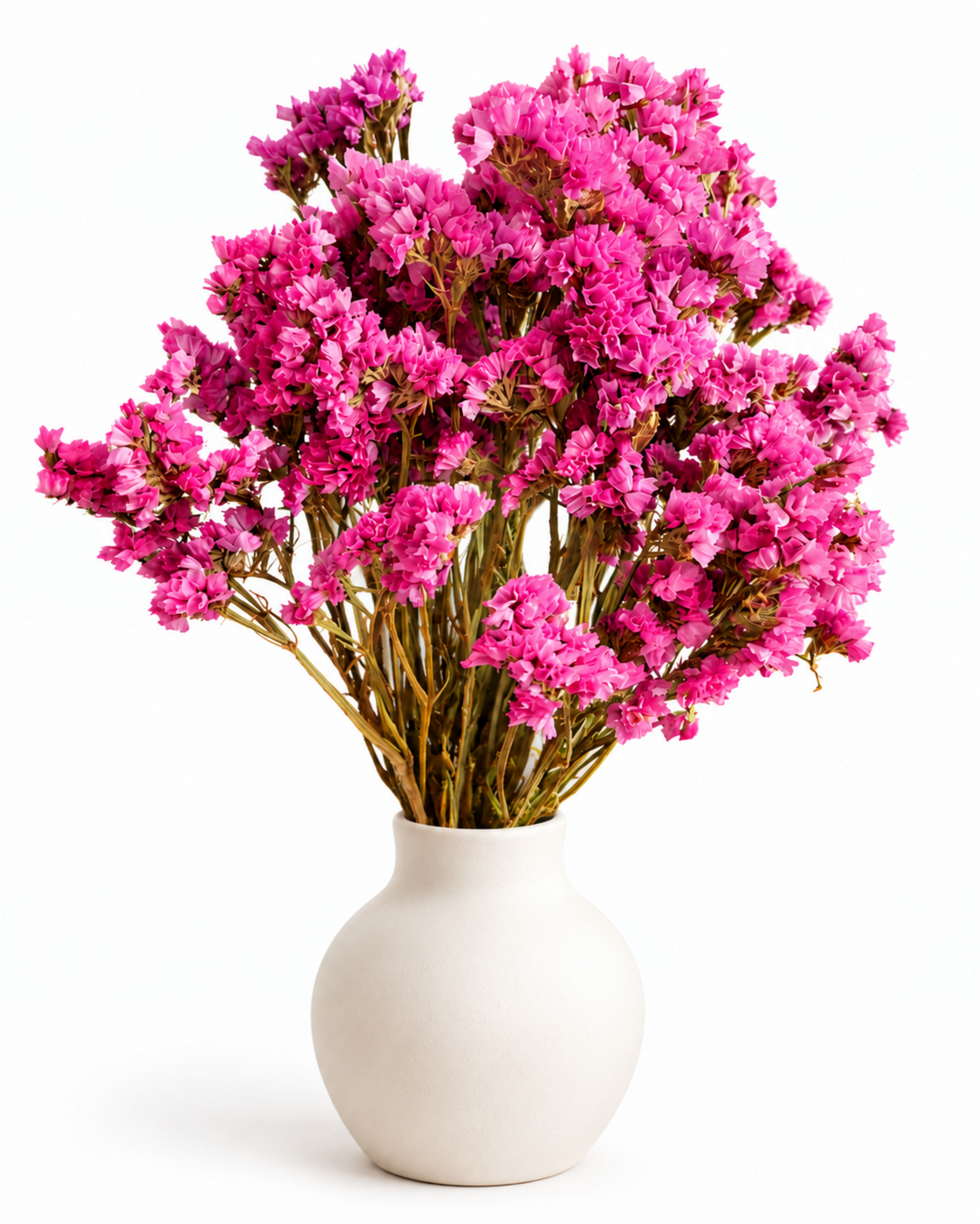 Hastes de Estátice Cor-de-Rosa Brilhante