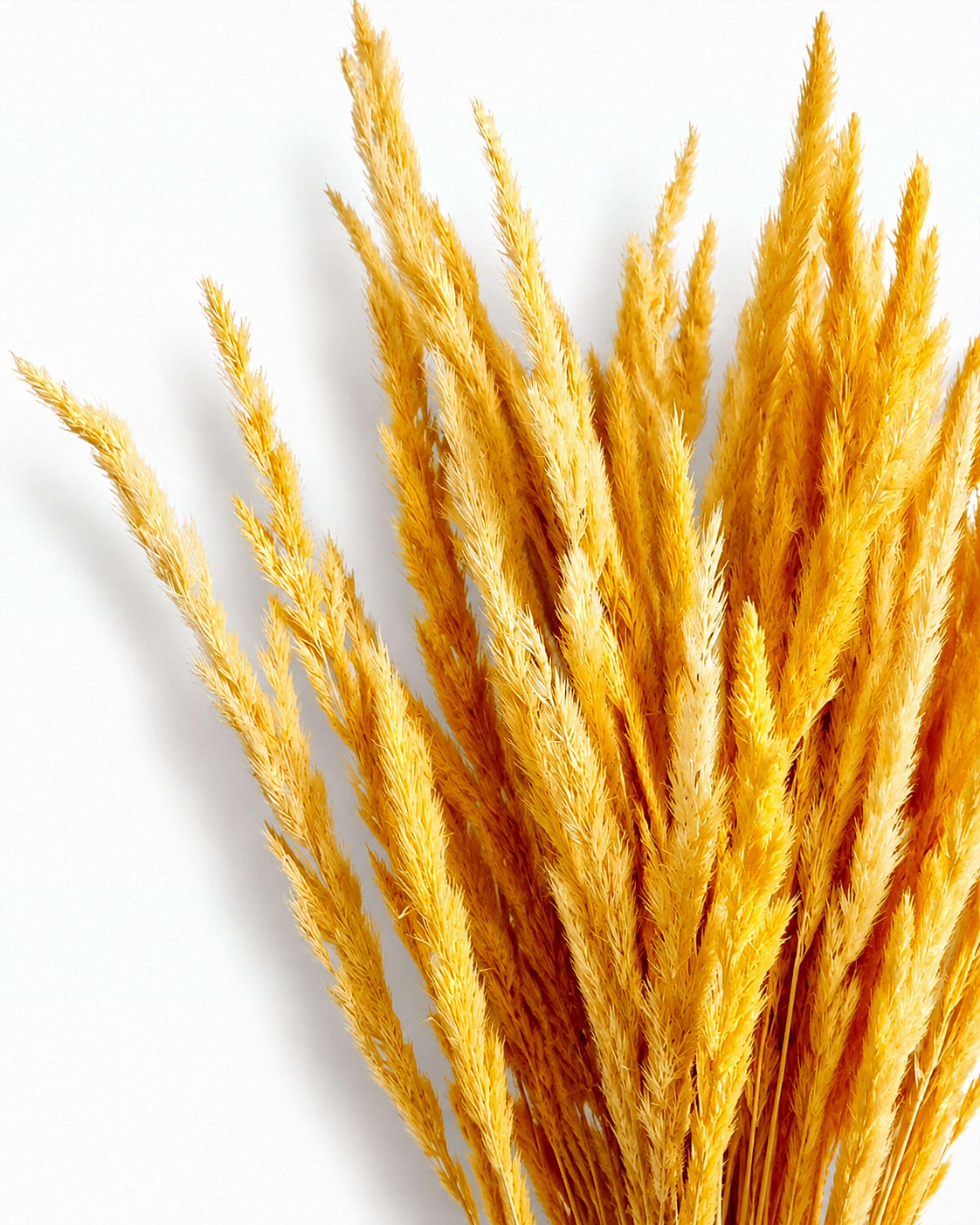 55-60 cm long ornamental yellow dried grass bouquet for modern scandinavian home decoration