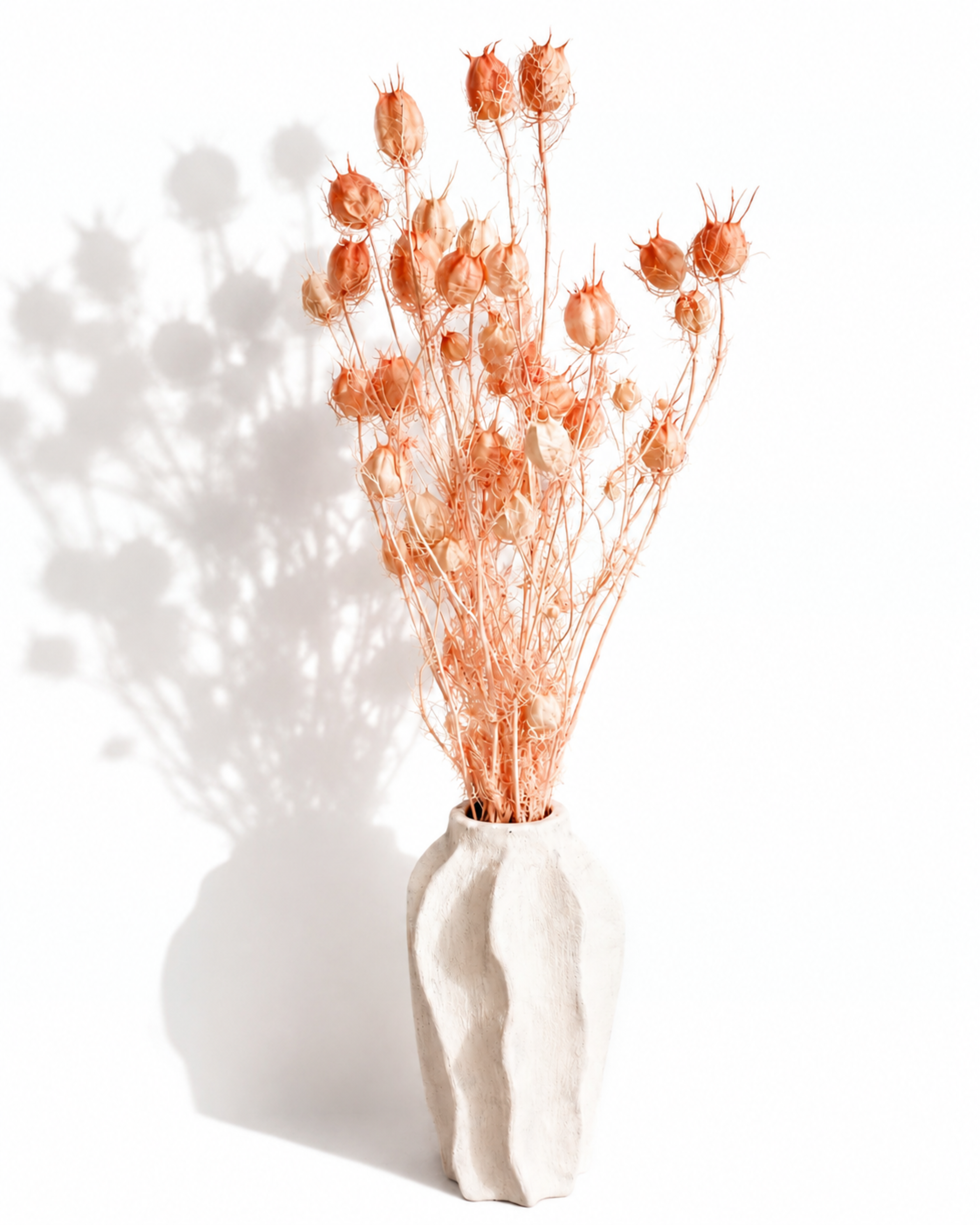 Bundle of dried blush pink Nigella stems styled in a textured white ceramic vase with soft wall shadows.
