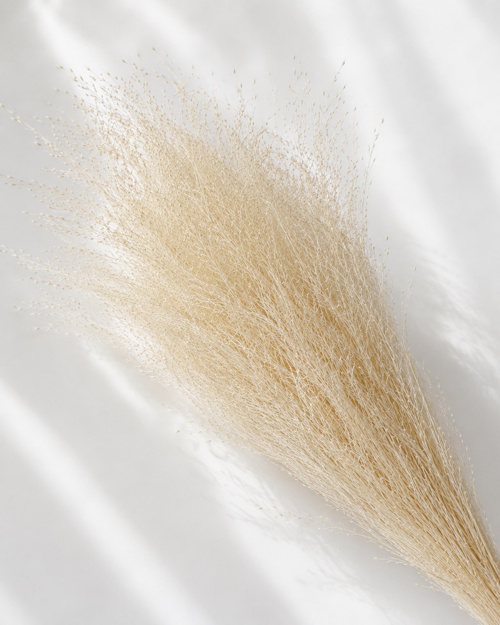 Tall Rice Grass Bundle