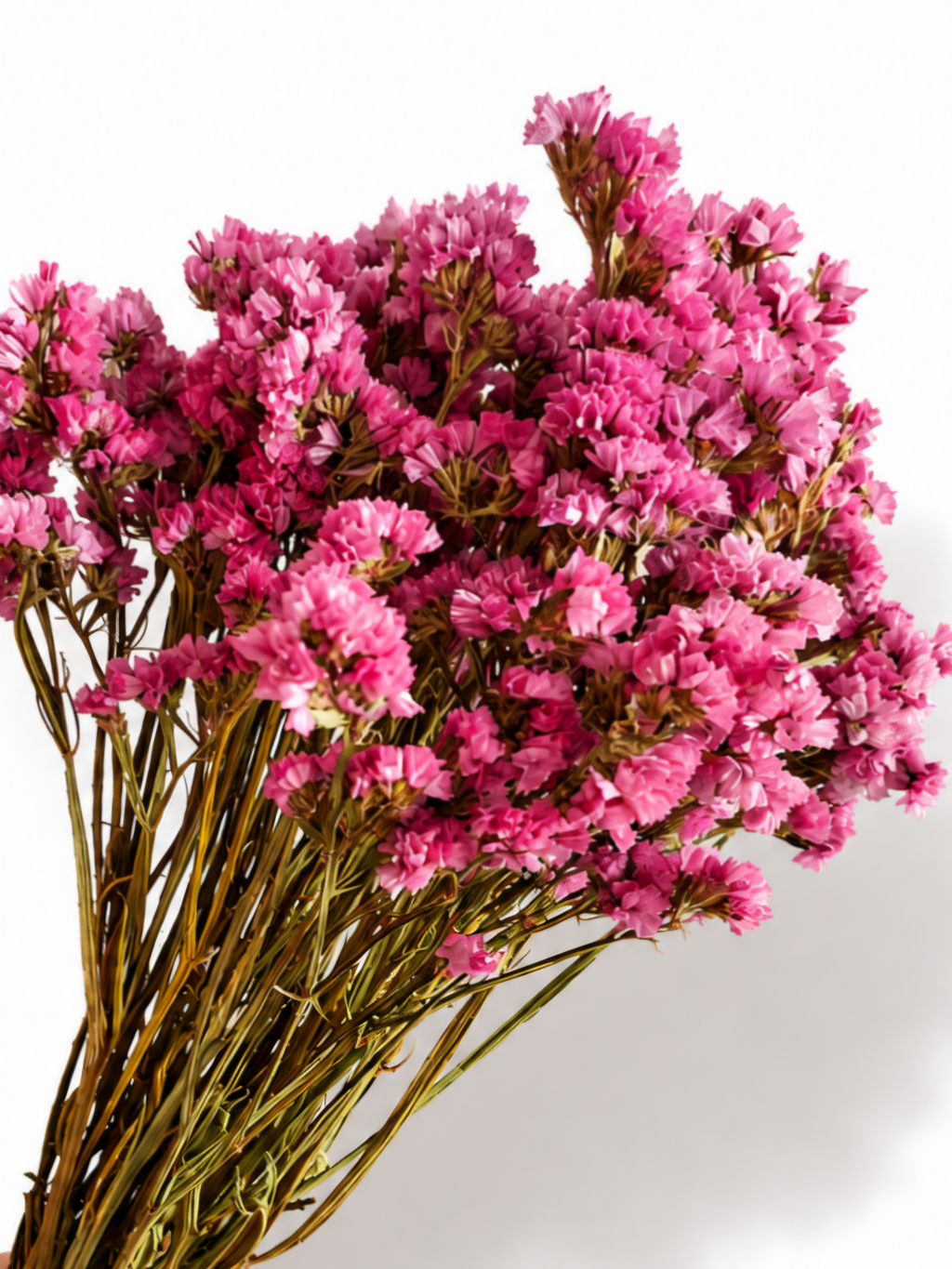 Naturally air-dried bright pink Statice flower stems, 45-50cm height, 100g wholesale bundle for floral arrangements.
