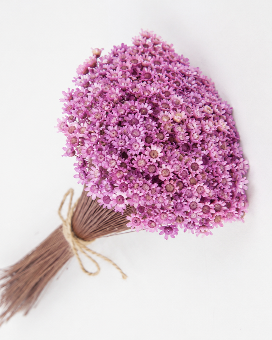 Glycine Glixia dried