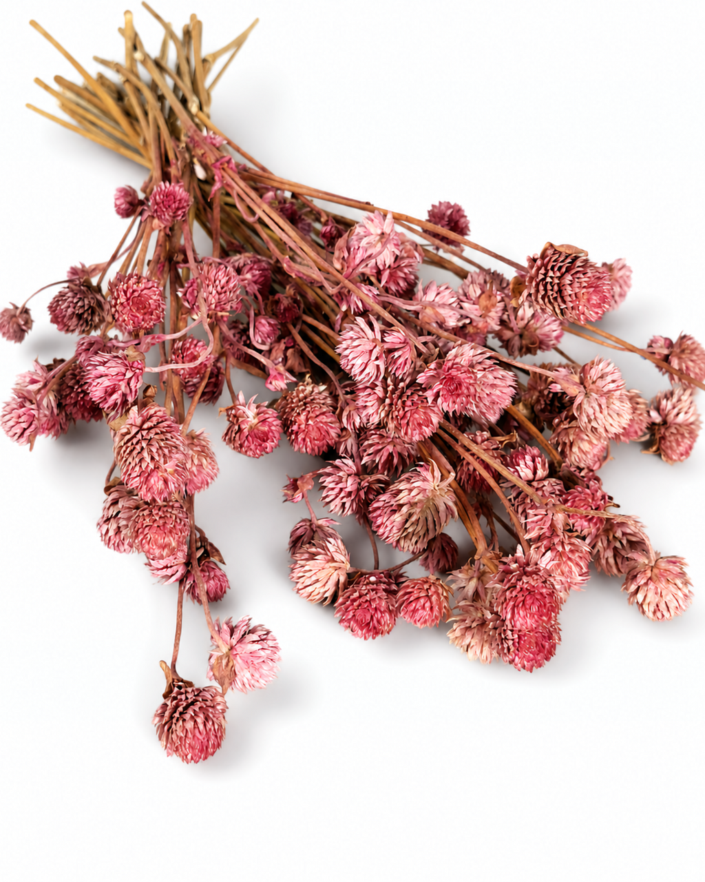 Lush bouquet of pink stabilized gomphrena flowers spread horizontally on a clean surface
