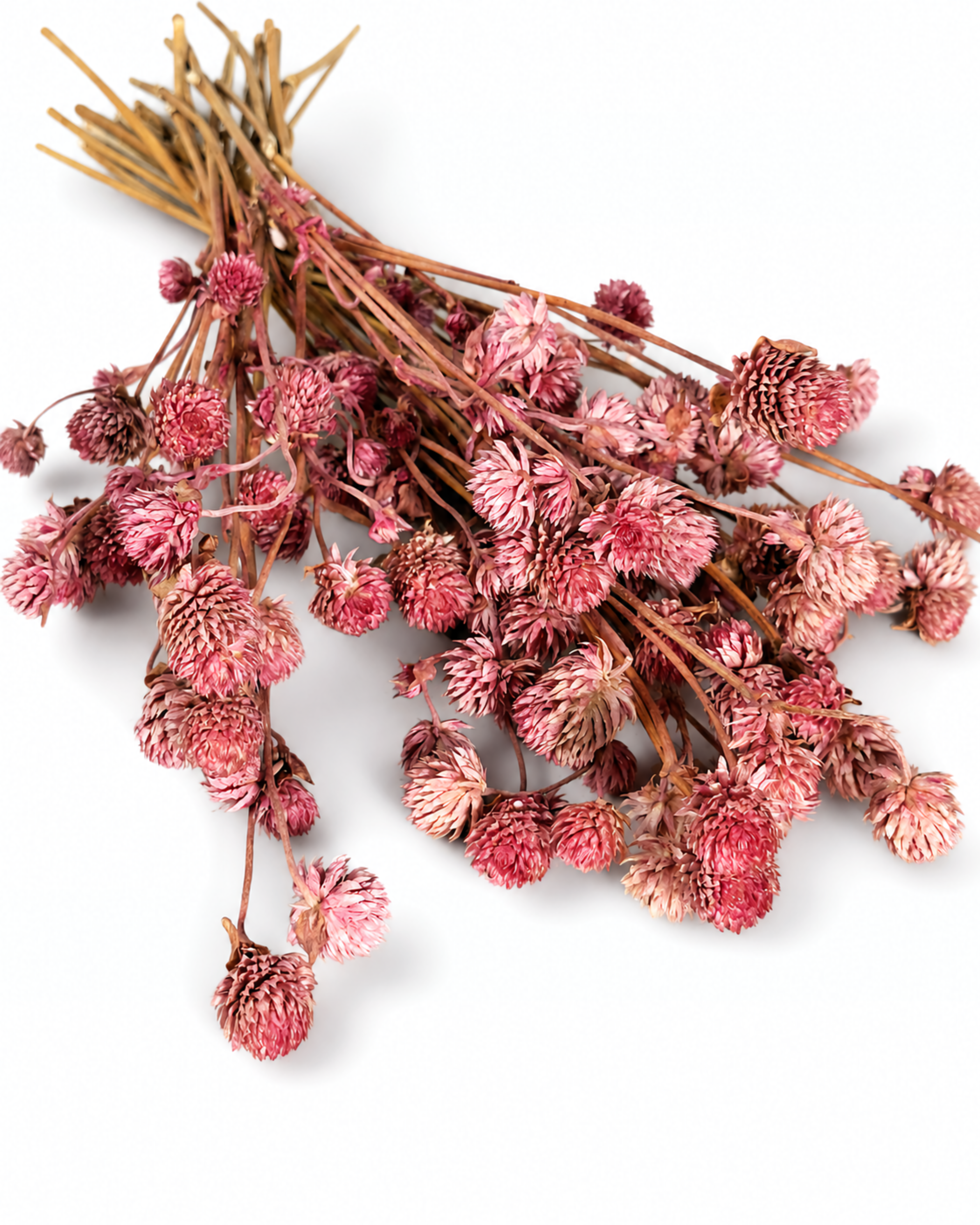 Lush bouquet of pink stabilized gomphrena flowers spread horizontally on a clean surface
