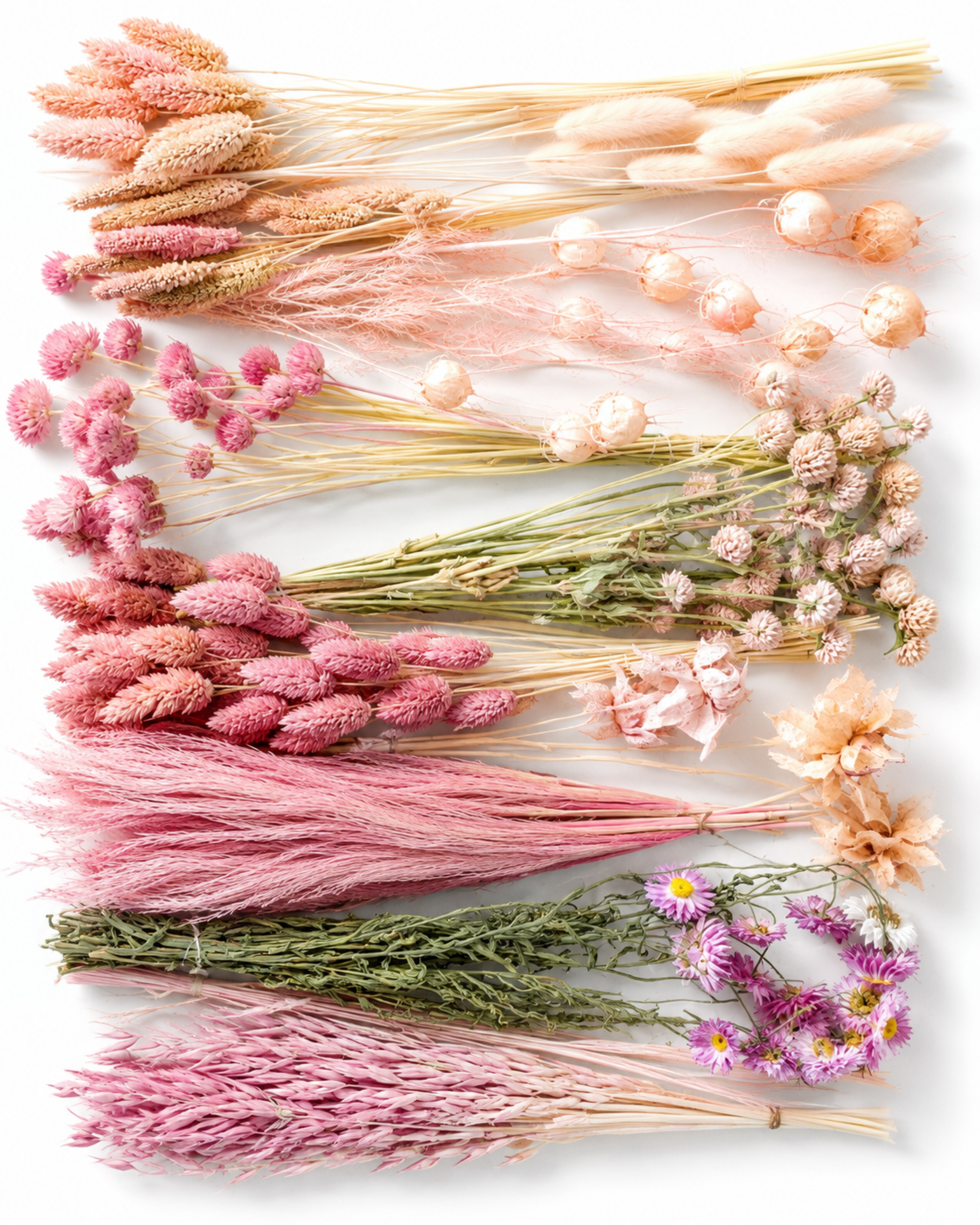 Pink Dried Flower Box for Crafts