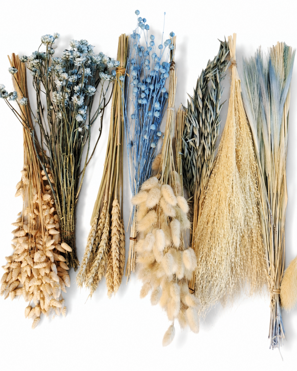 Beige & Blue Dried Flower Box for Crafts