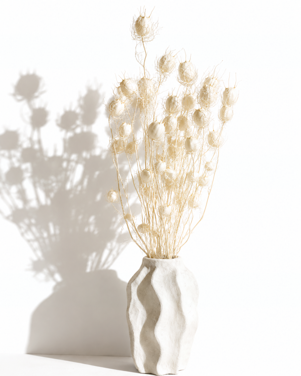 Tall bundle of dried natural white Nigella stems in a white ceramic vase with subtle shadows.
